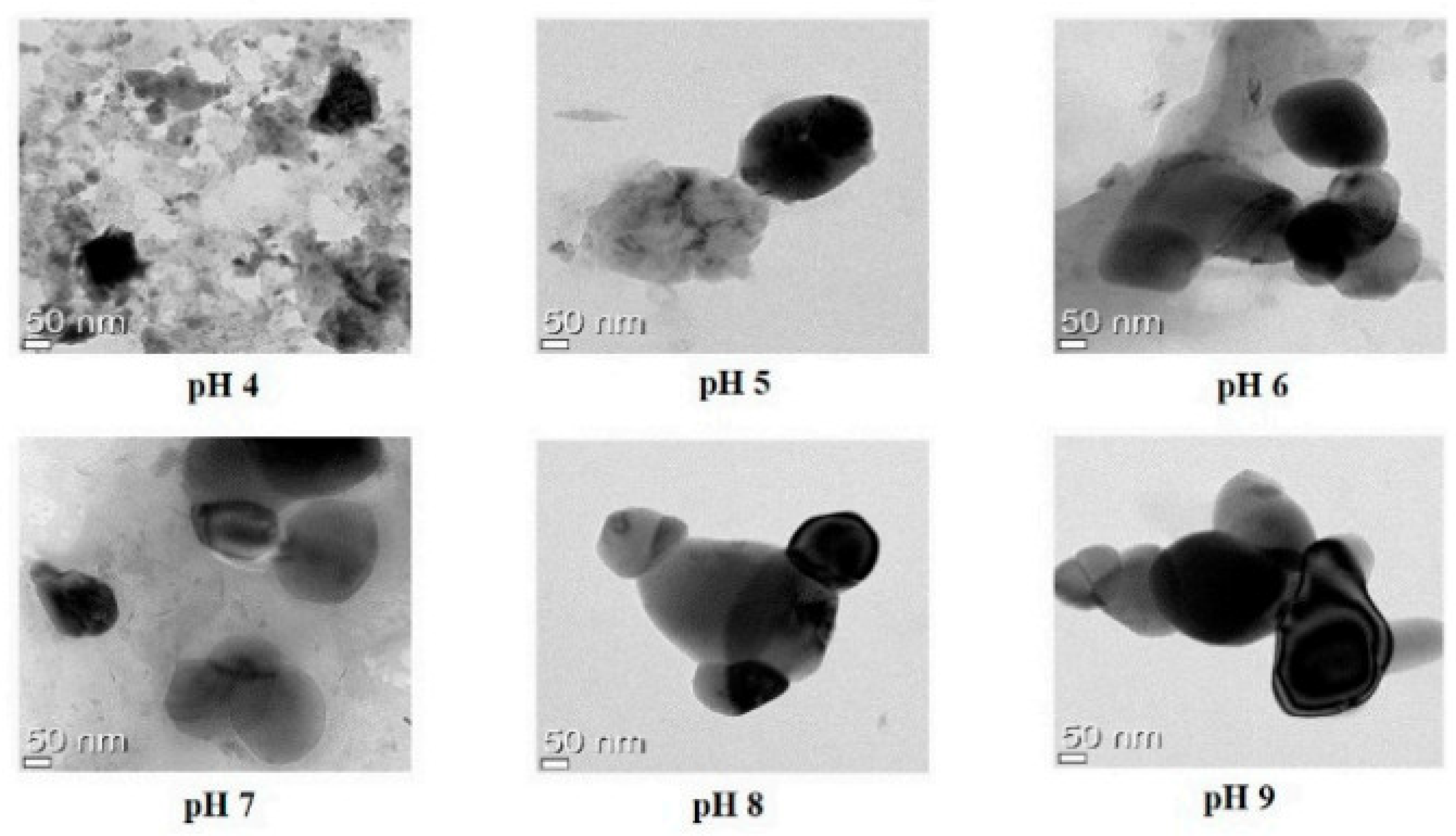 Molecules 28 02540 g004