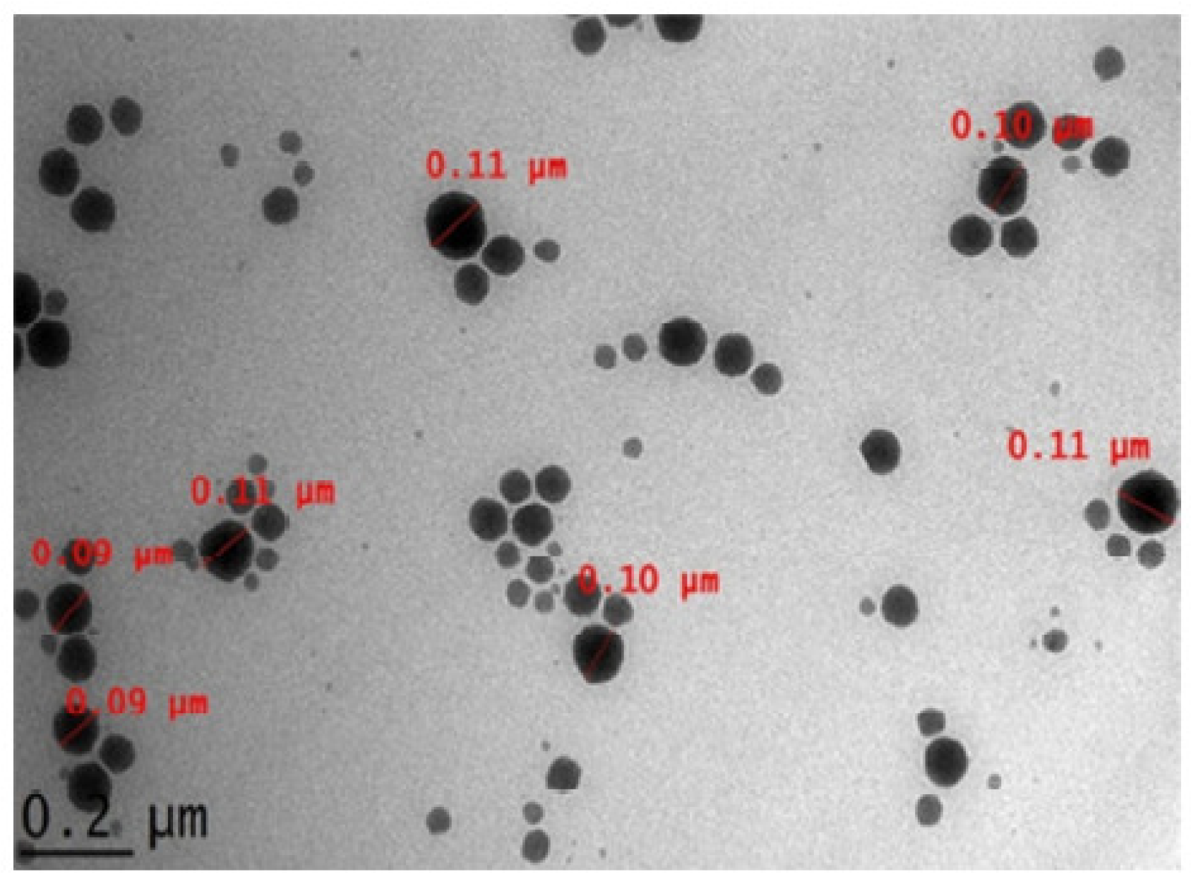 Molecules 28 02540 g005