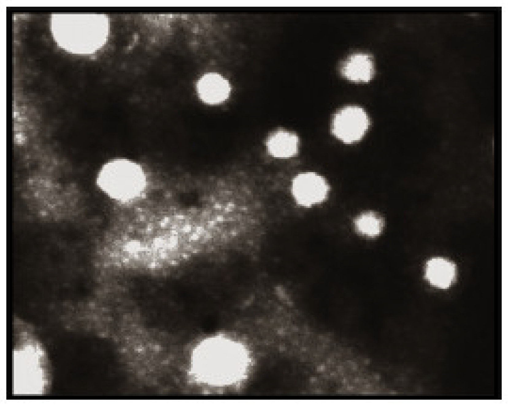 Molecules 28 02540 g006