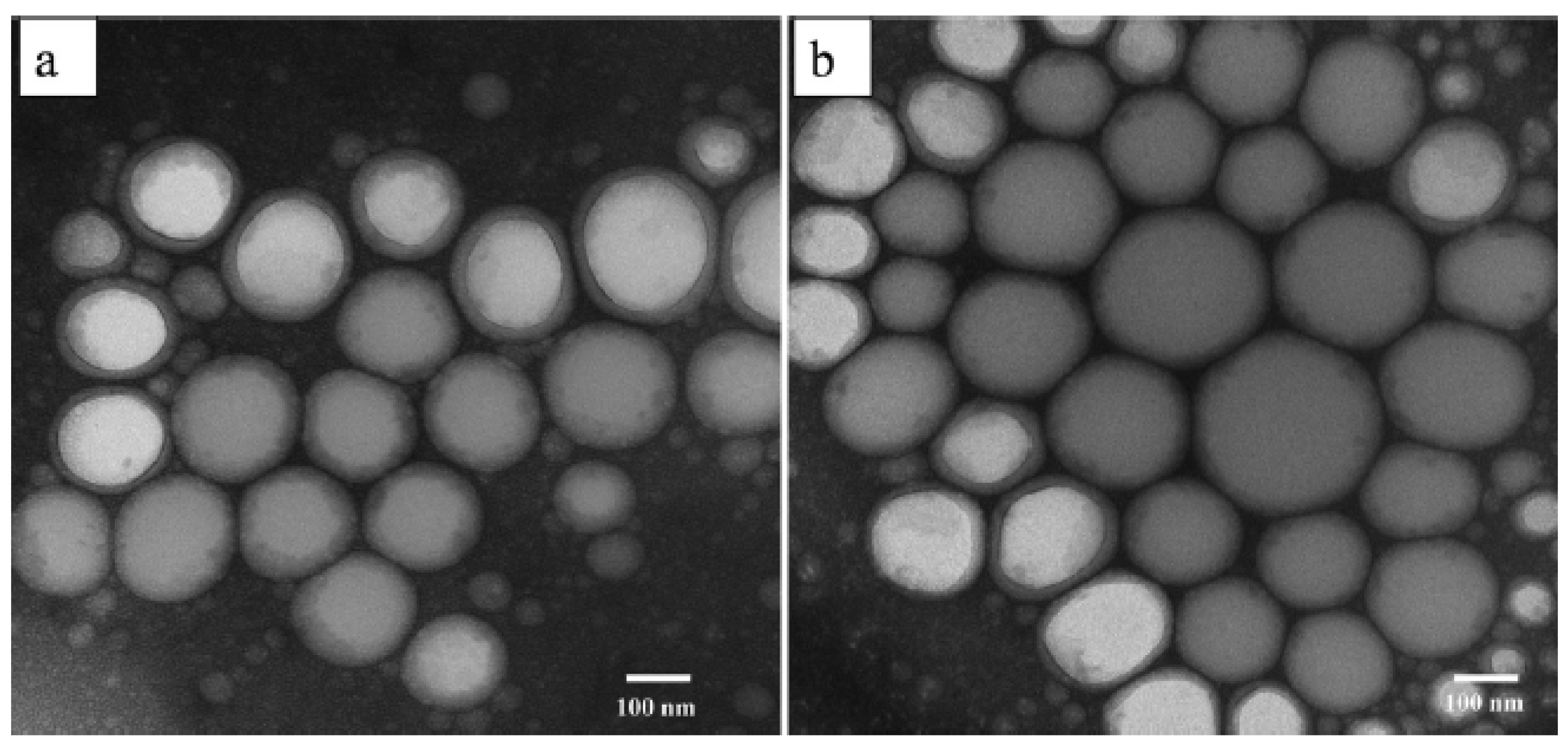 Molecules 28 02540 g007