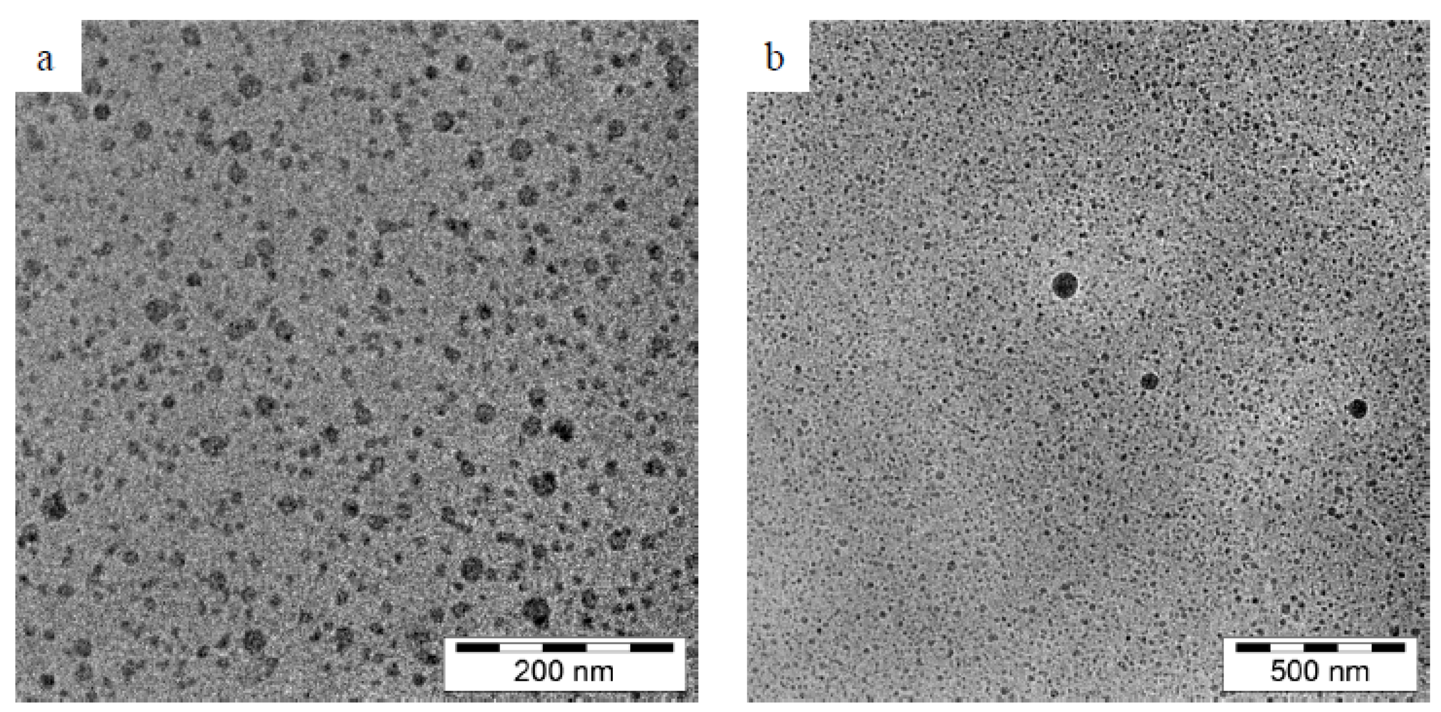 Molecules 28 02540 g008