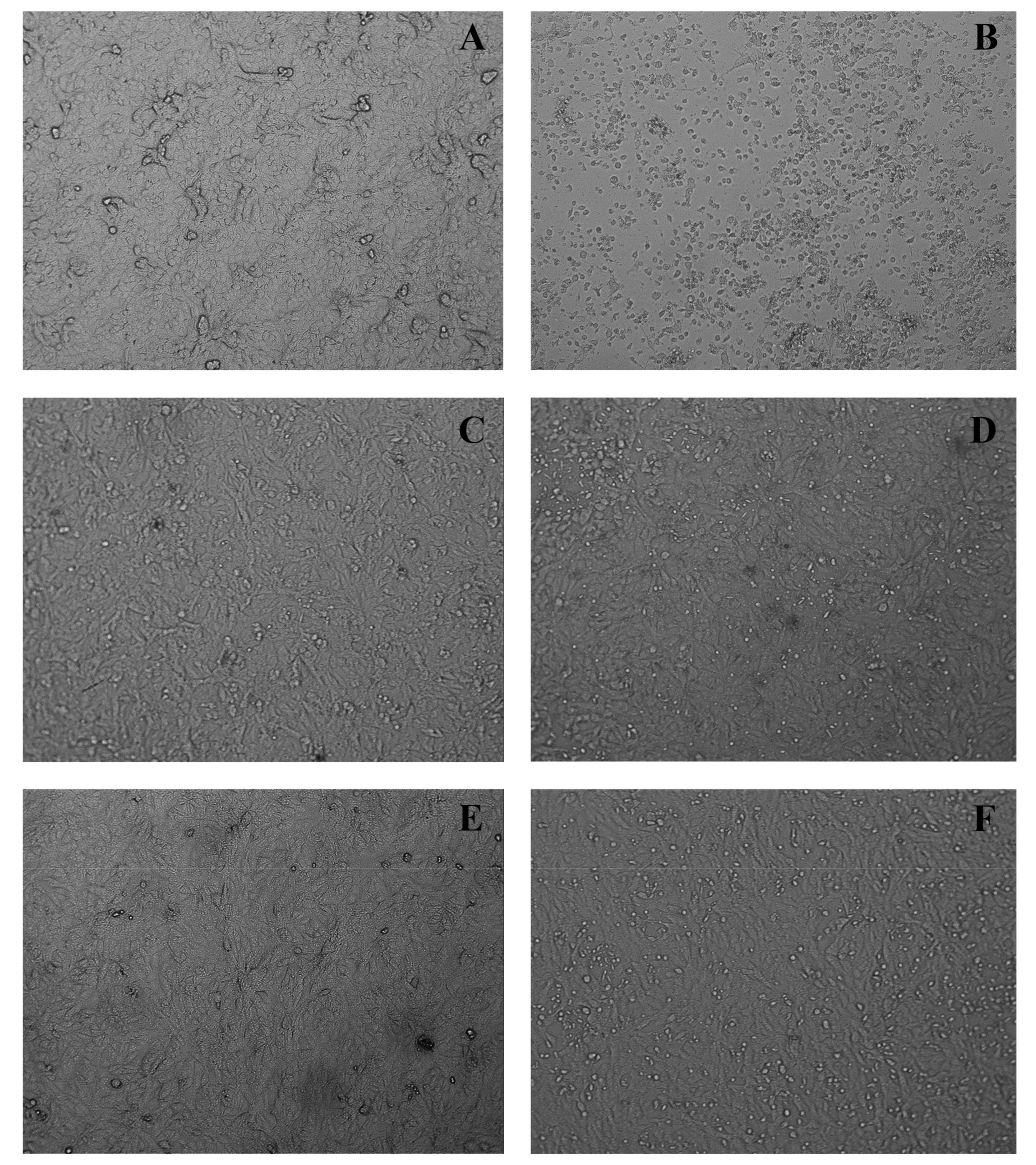 Molecules 28 02546 g004