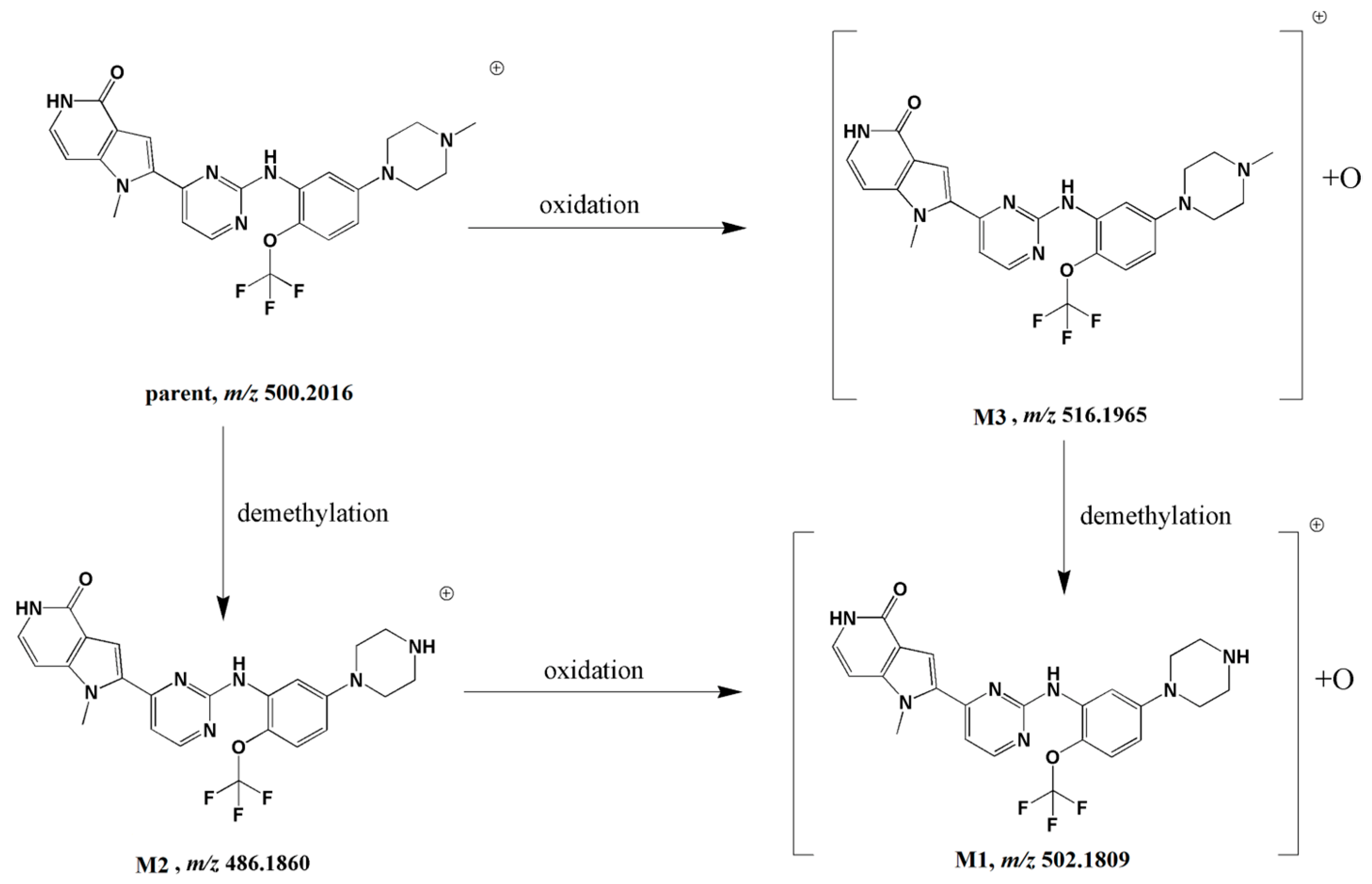 Molecules 28 02550 g007 Molecules 28 02550 g007