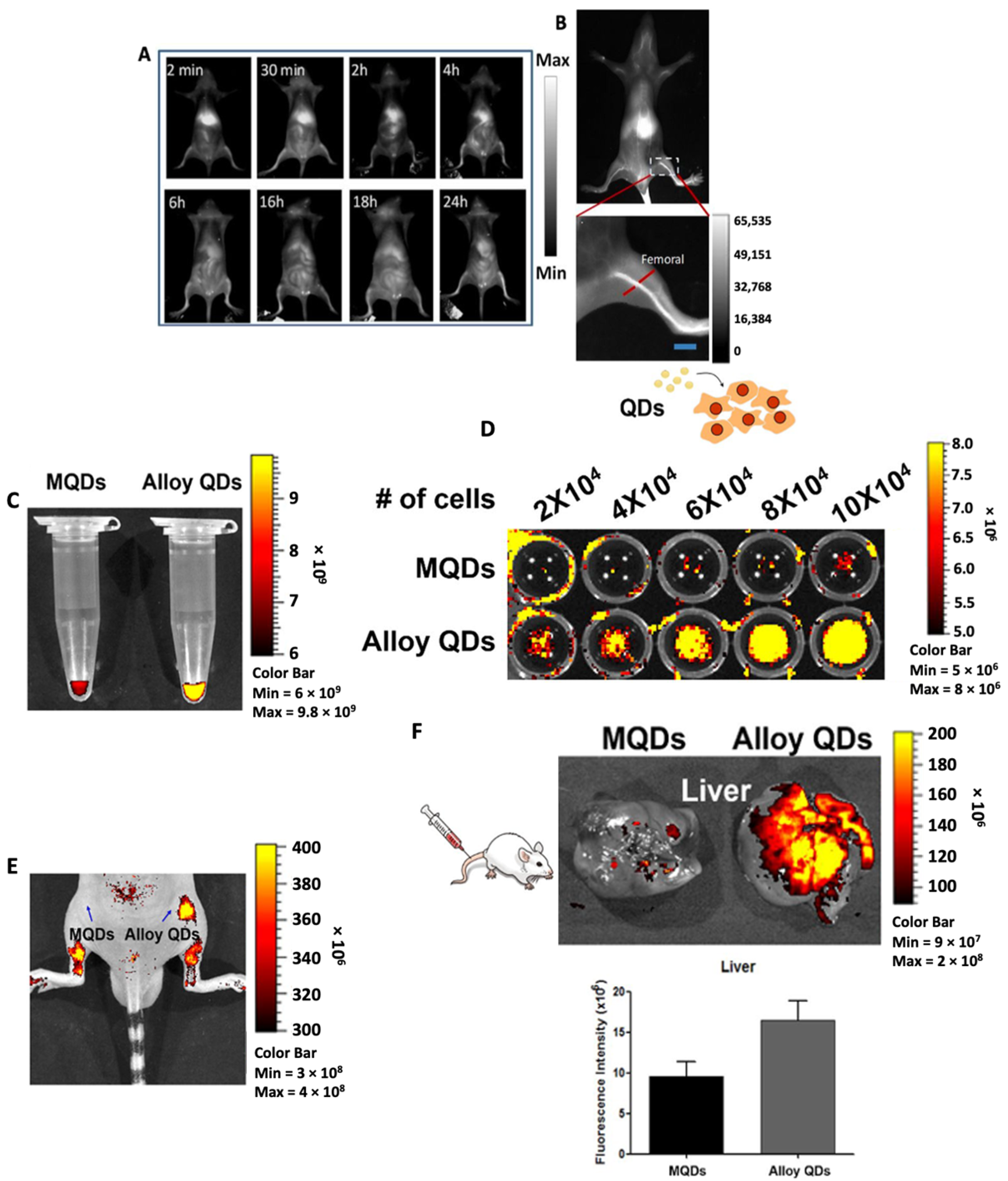 Molecules 28 02553 g003