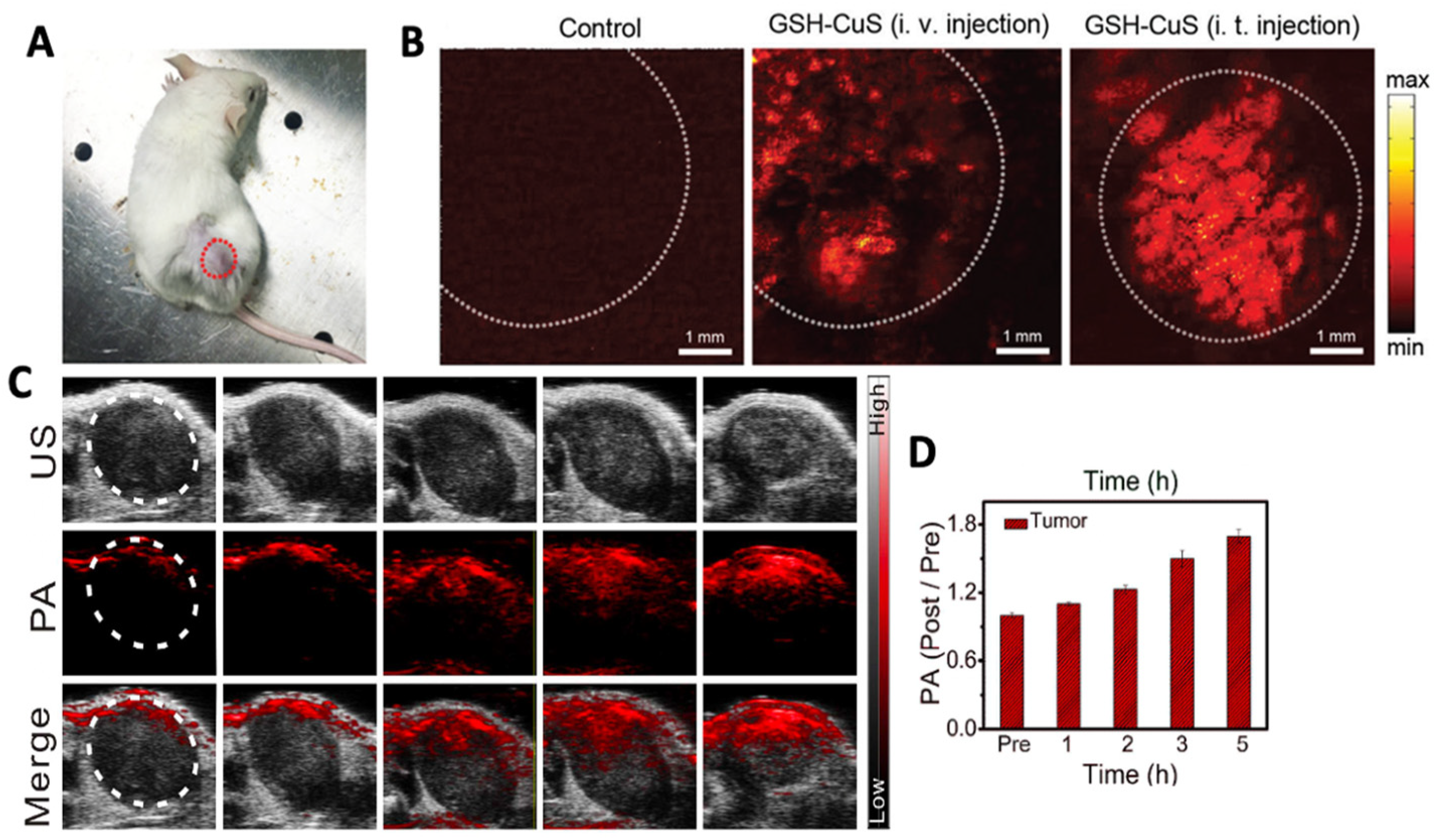 Molecules 28 02553 g004