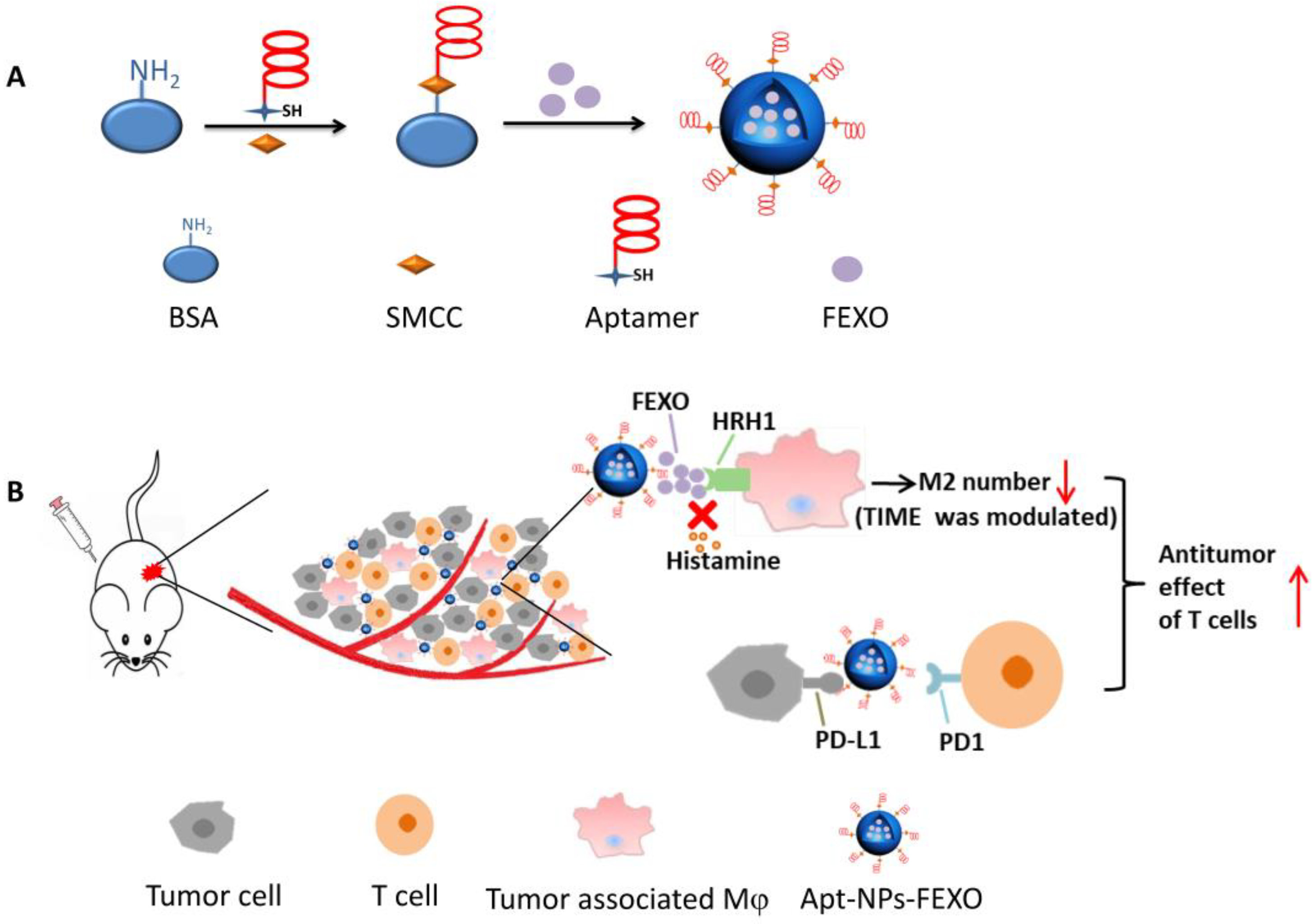 Molecules 28 02556 g001 Molecules 28 02556 g001