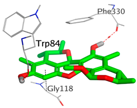 Molecules 28 02559 i002