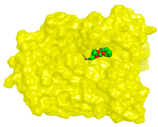 Molecules 28 02559 i003