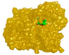 Molecules 28 02559 i006