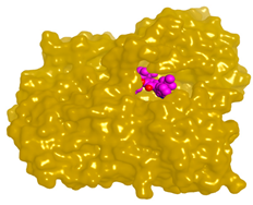 Molecules 28 02559 i012