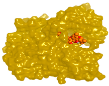 Molecules 28 02559 i018