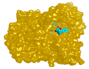 Molecules 28 02559 i024