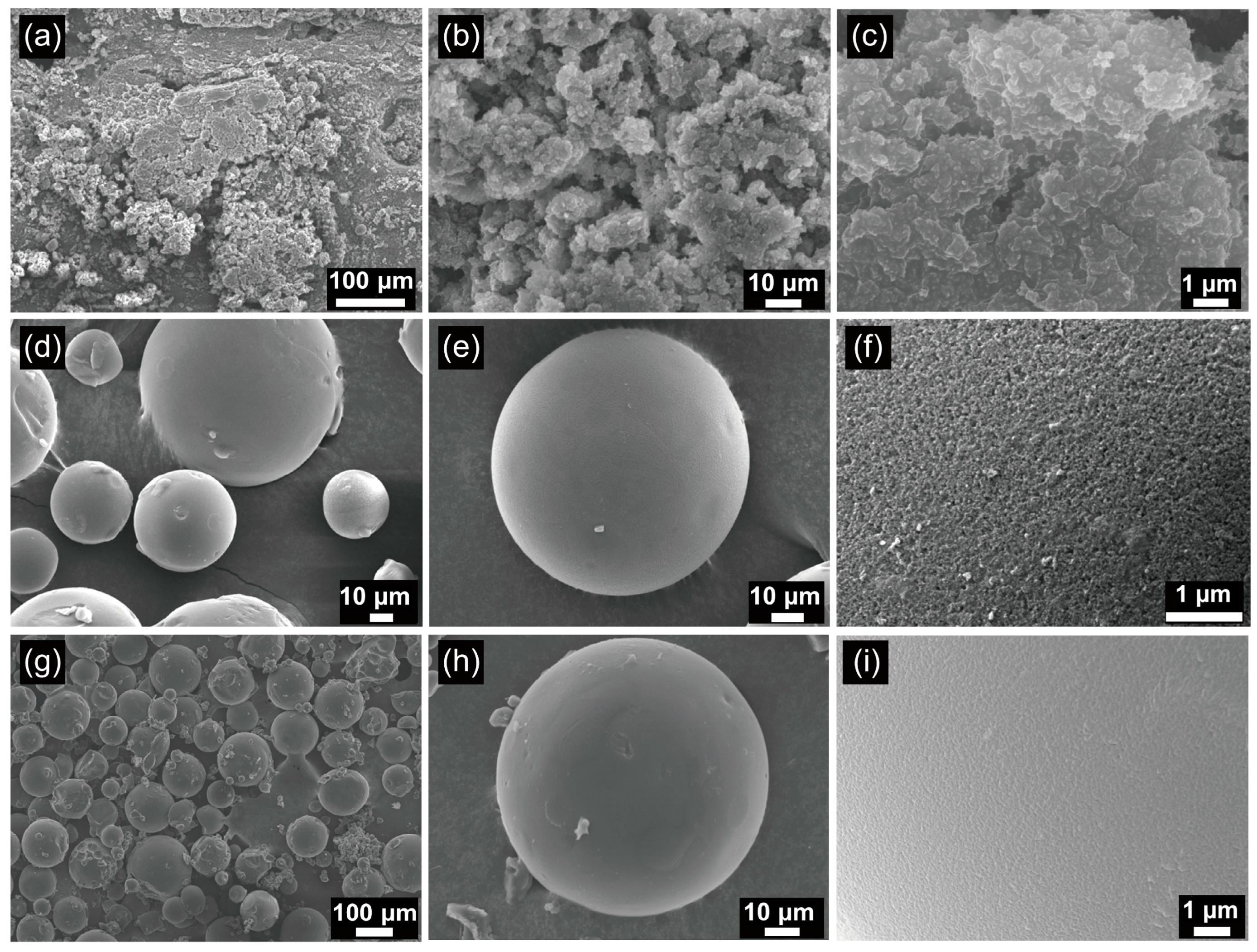 Molecules 28 02569 g001