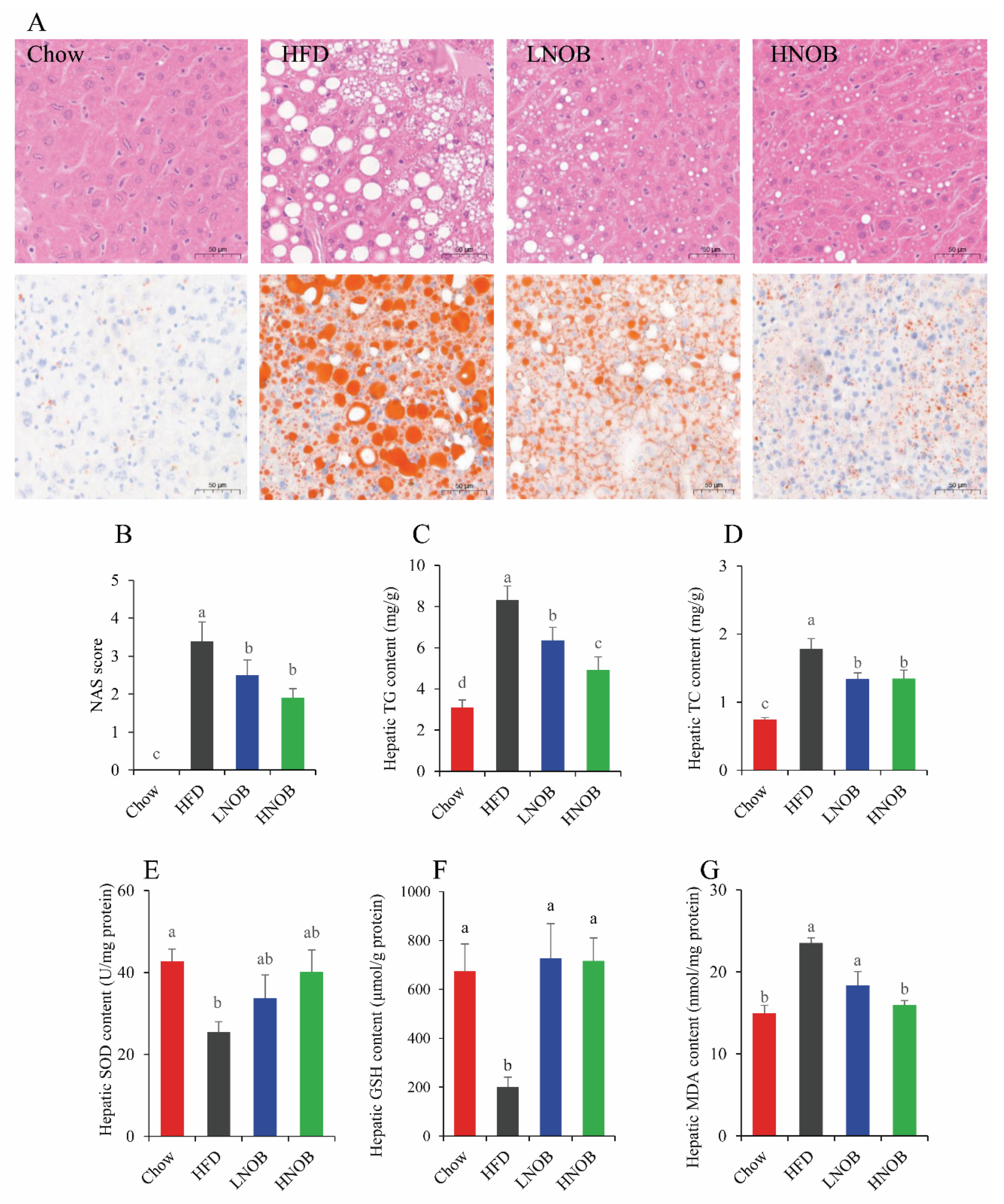 Molecules 28 02570 g002