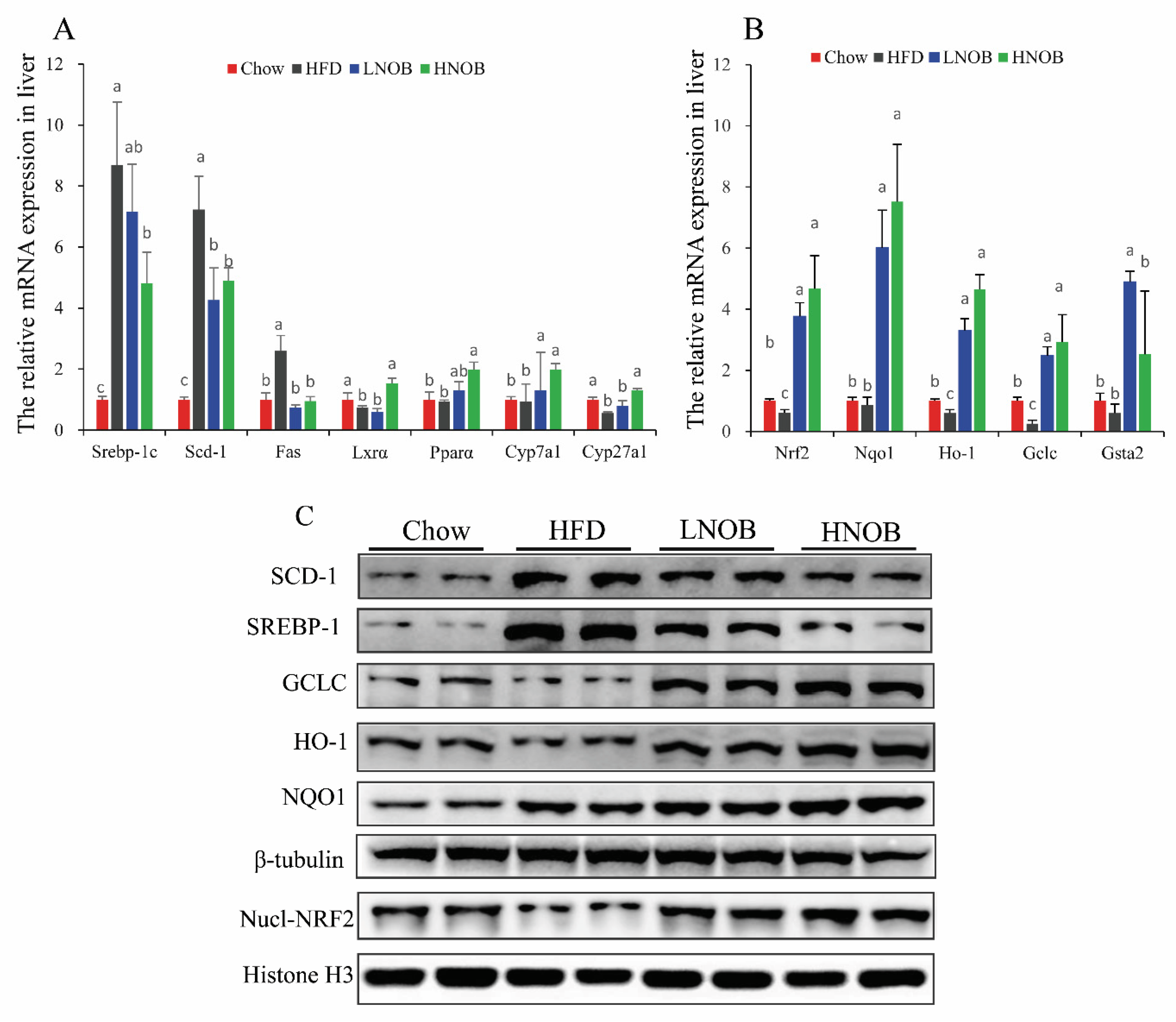 Molecules 28 02570 g006