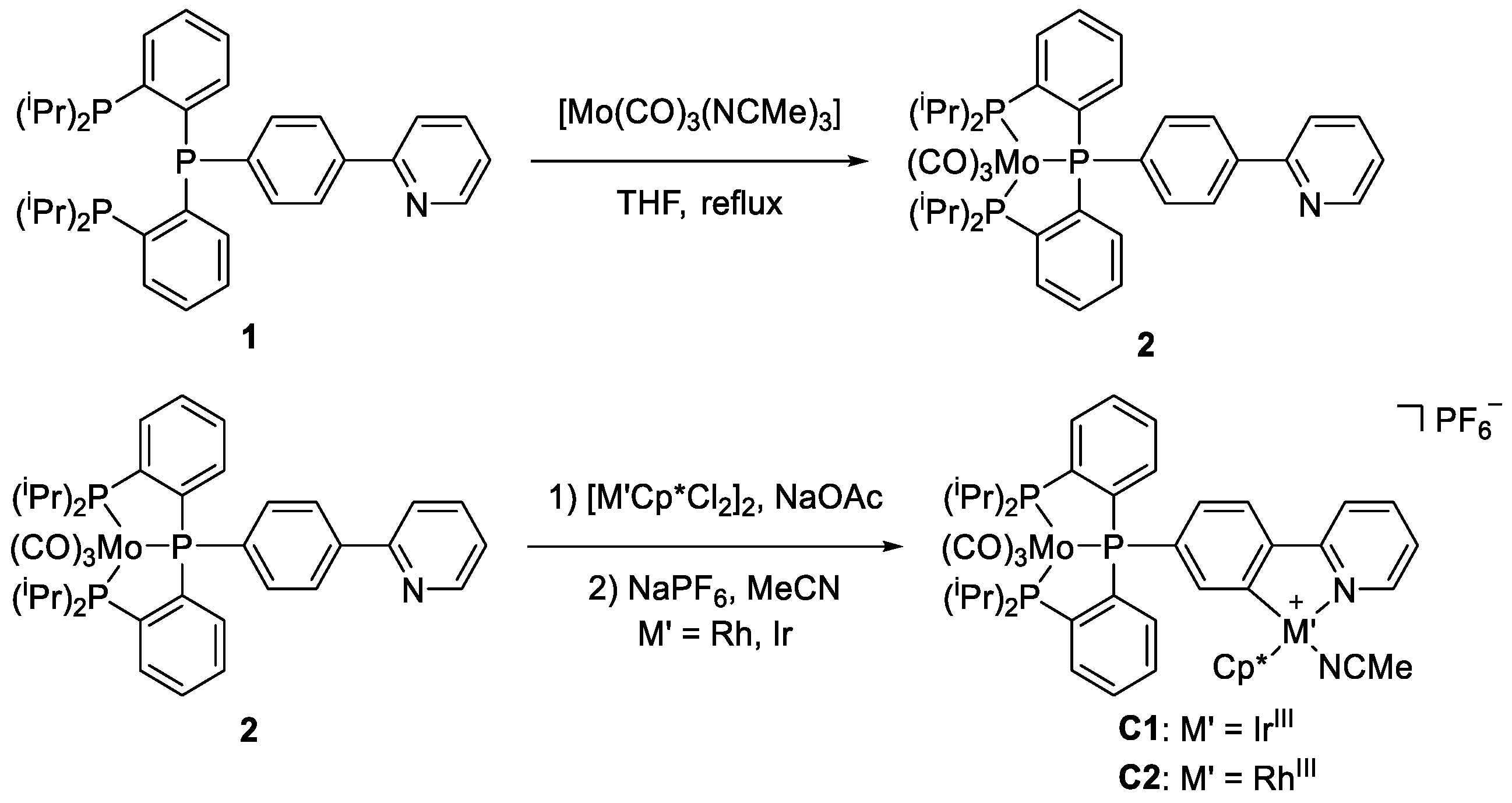 Molecules 28 02574 sch001 Molecules 28 02574 sch001