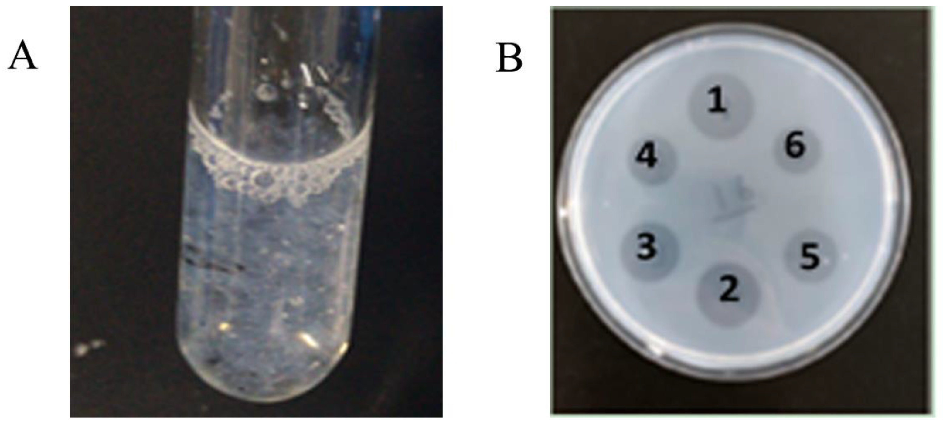 Molecules 28 02578 g002