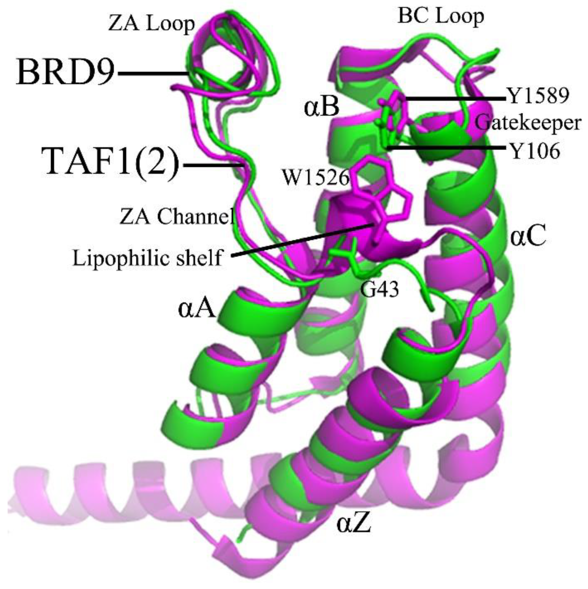 Molecules | Free Full-Text | Deciphering Selectivity Mechanism of