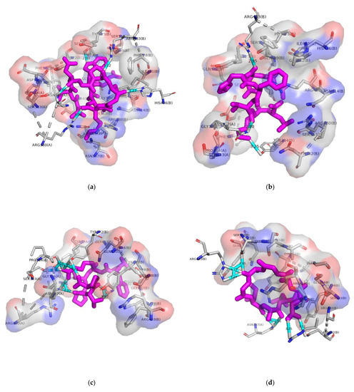 Multiple Bioactivities of Peptides from Hydrolyzed Misgurnus