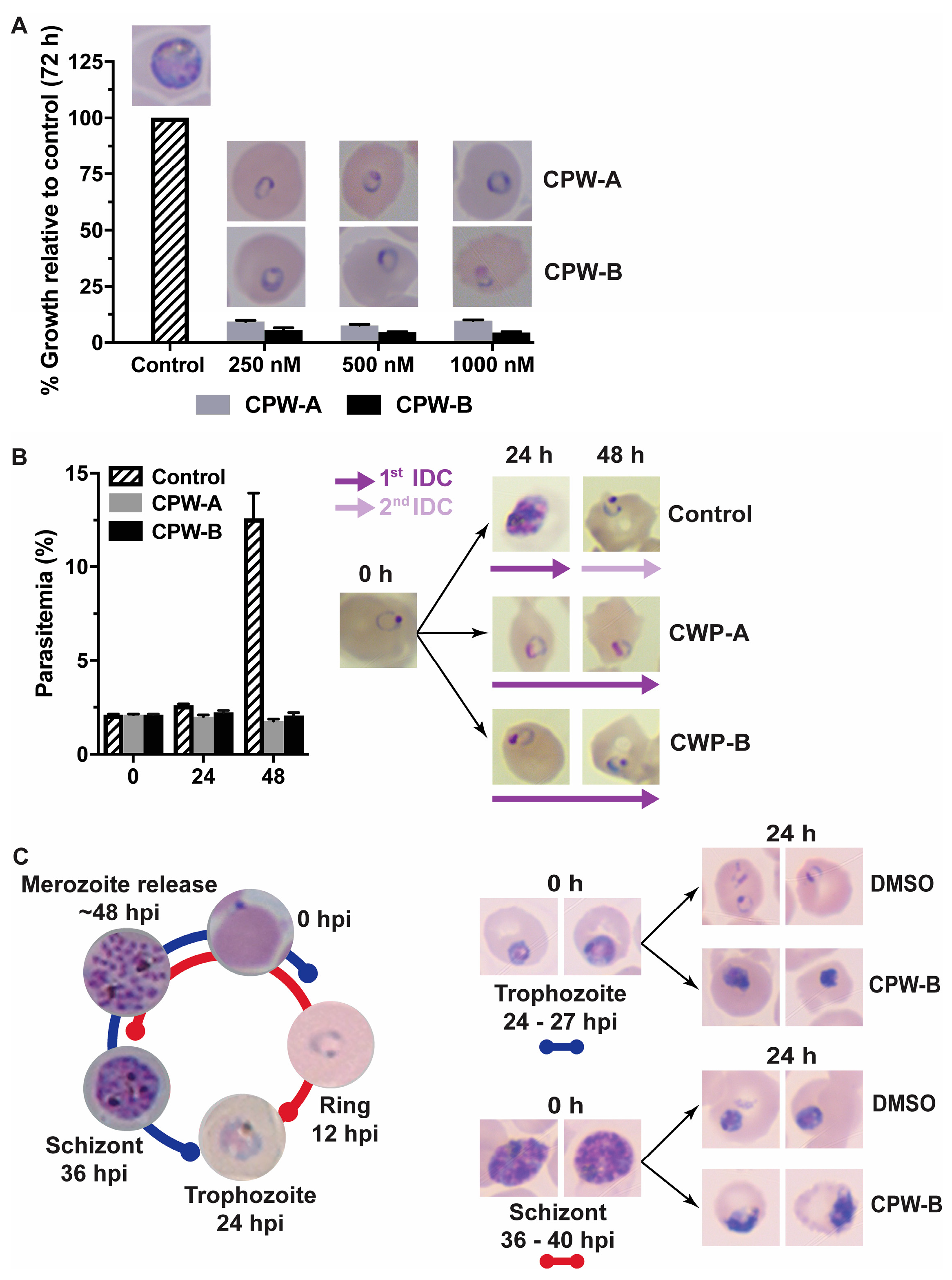 Molecules 28 02600 g003 Molecules 28 02600 g003