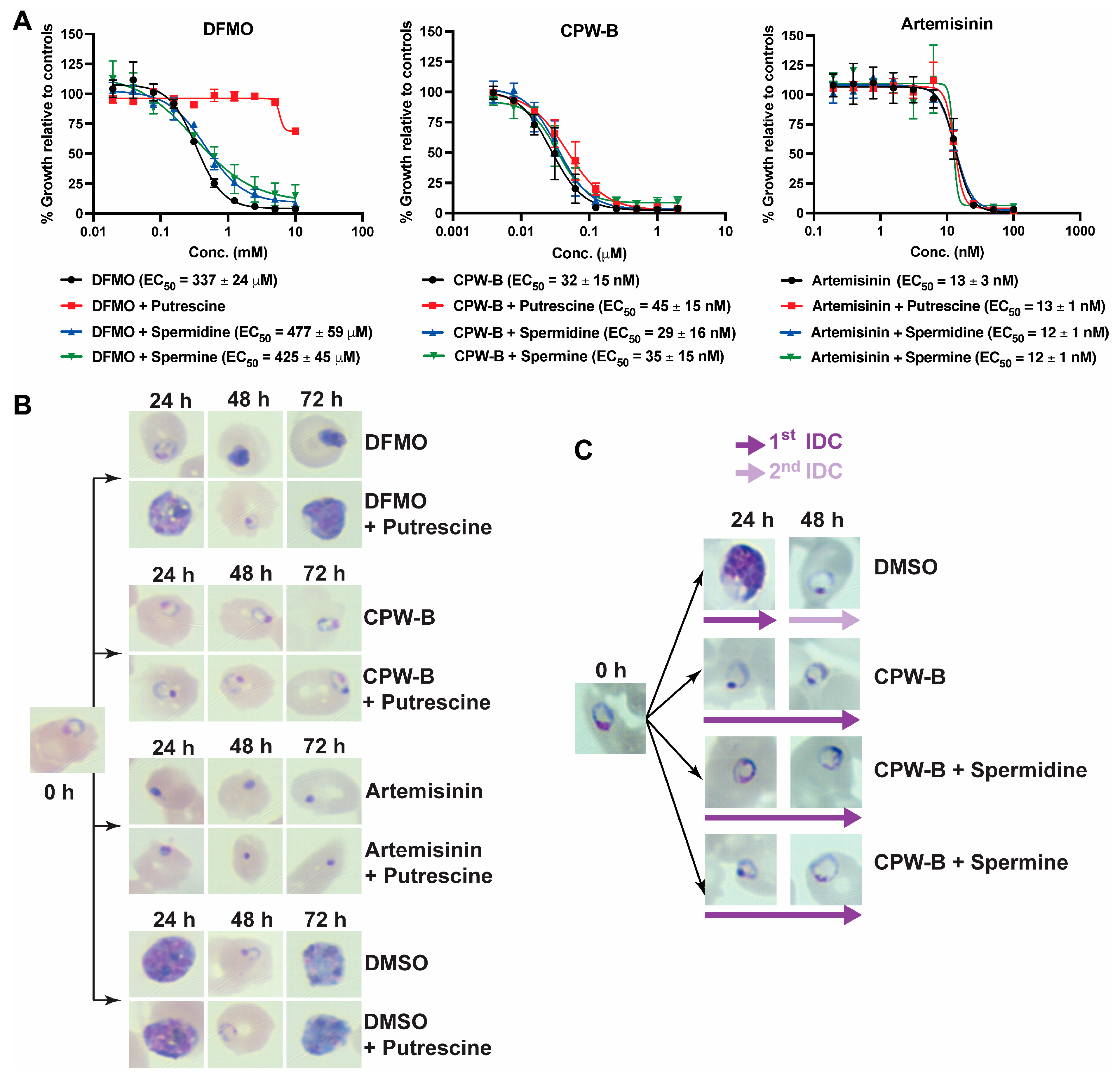 Molecules 28 02600 g006 Molecules 28 02600 g006