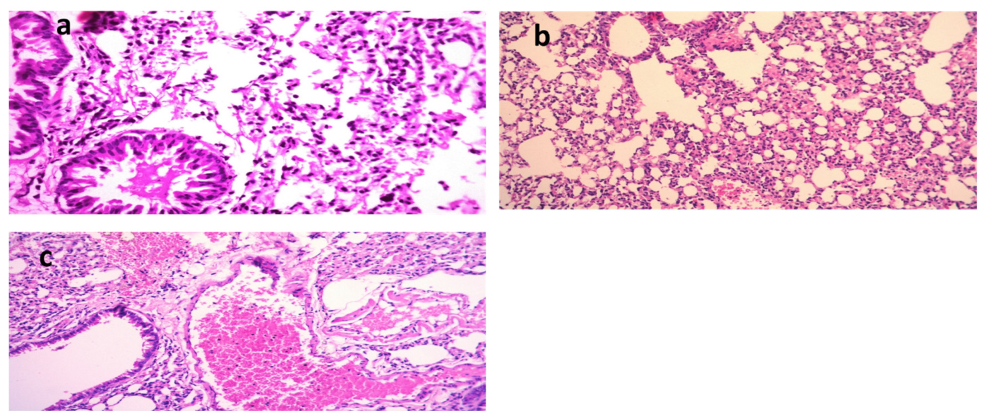 Molecules 28 02609 g005