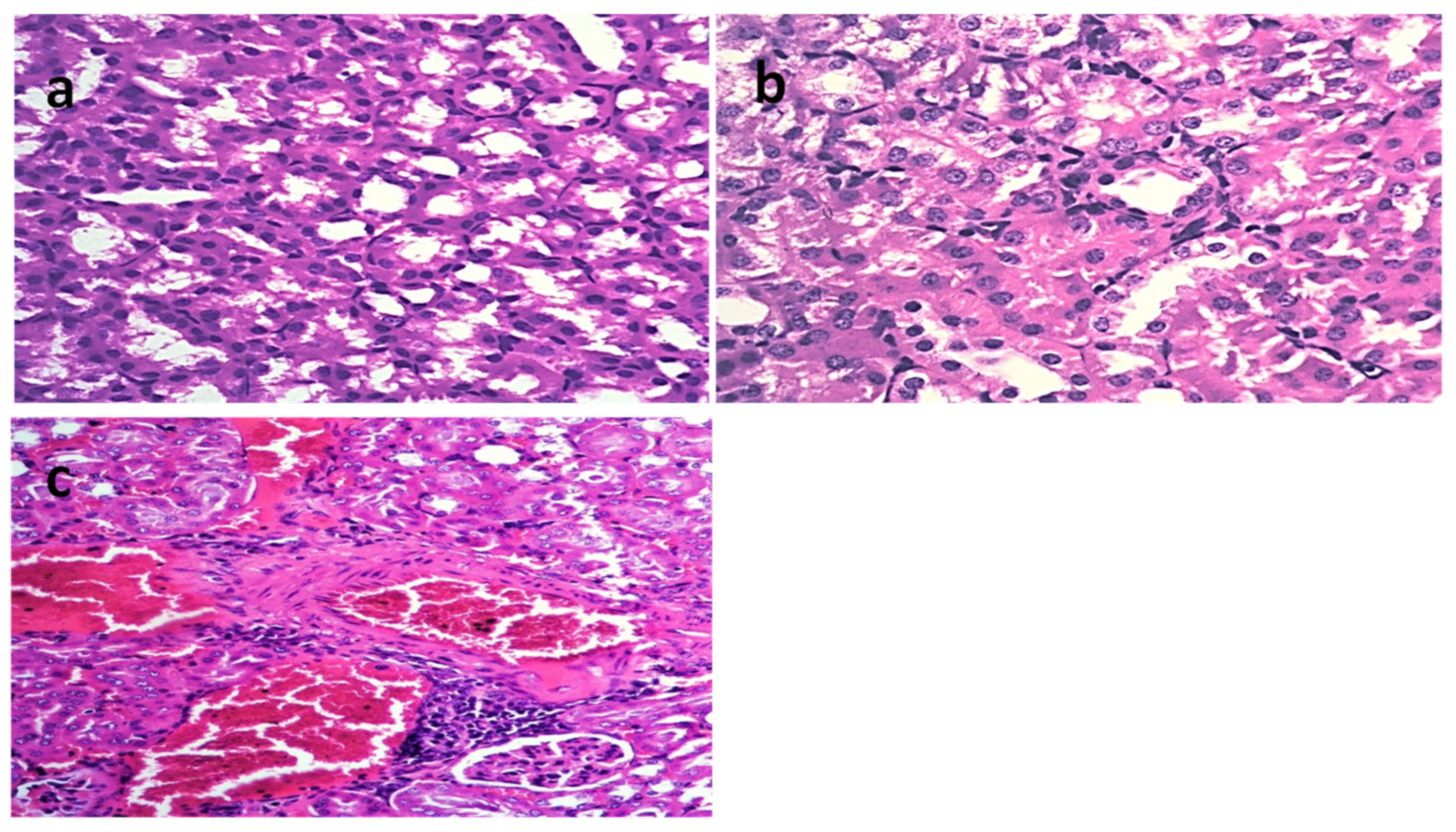 Molecules 28 02609 g006