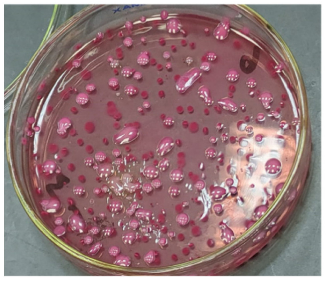 Molecules 28 02609 g008