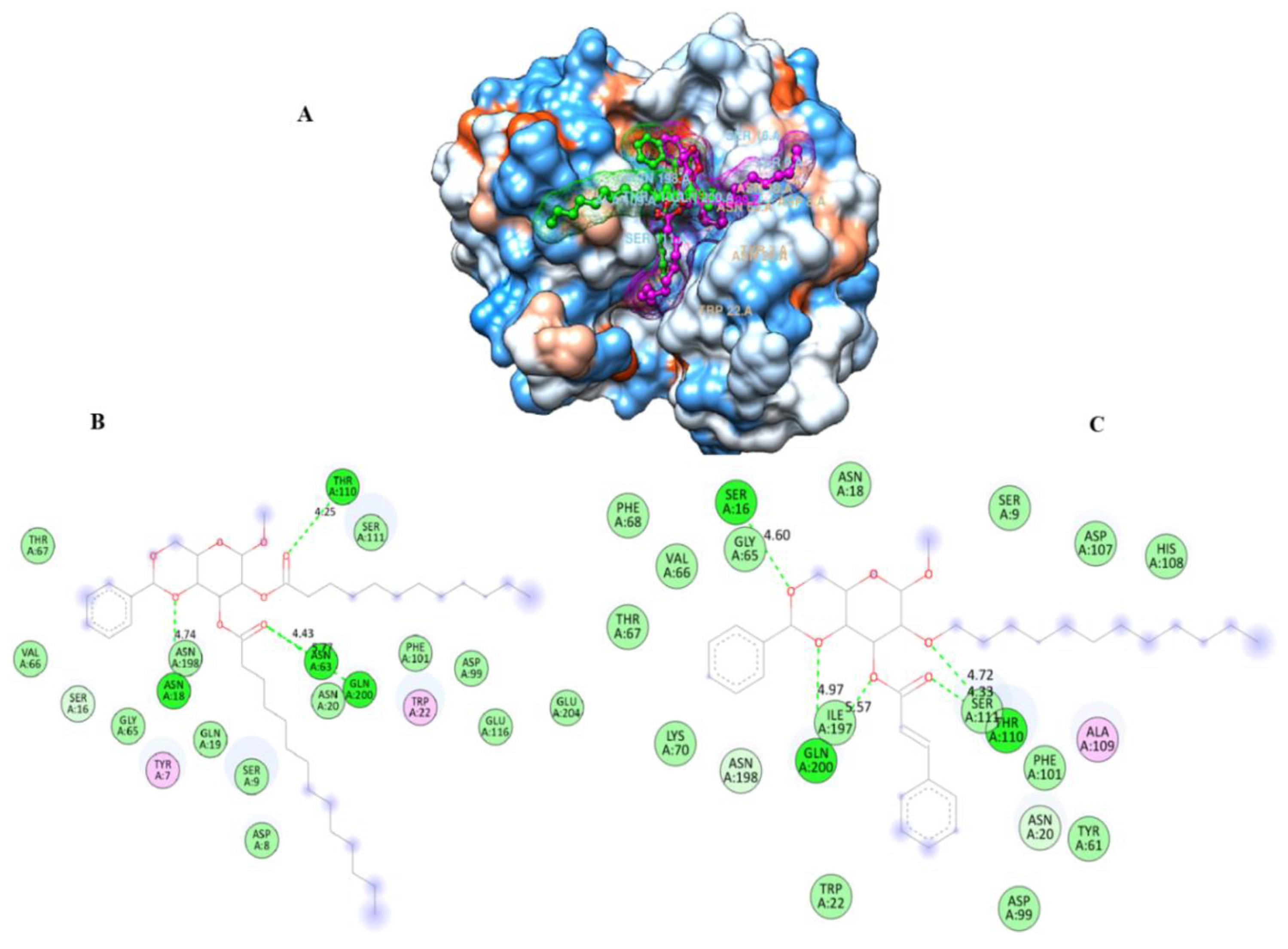 Molecules 28 02613 g005a Molecules 28 02613 g005a