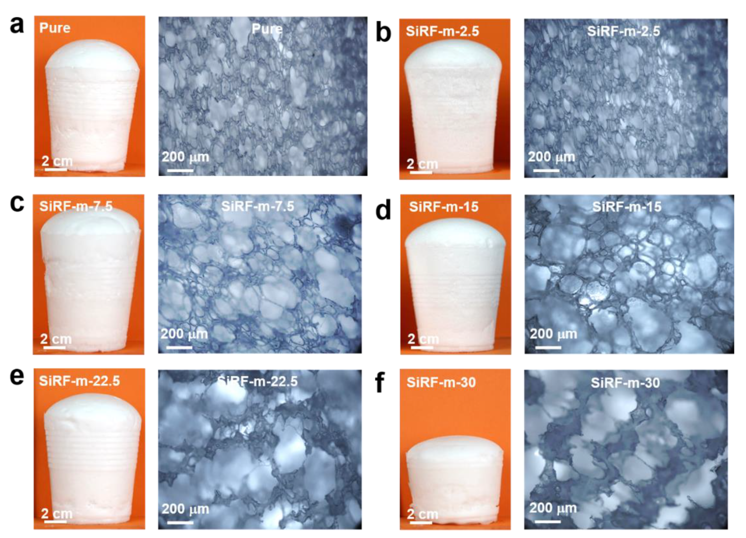 Molecules 28 02614 g004 Molecules 28 02614 g004