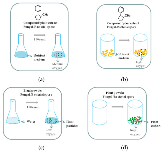 リコピン Multi-Level Optimization and Strategies in Microbial