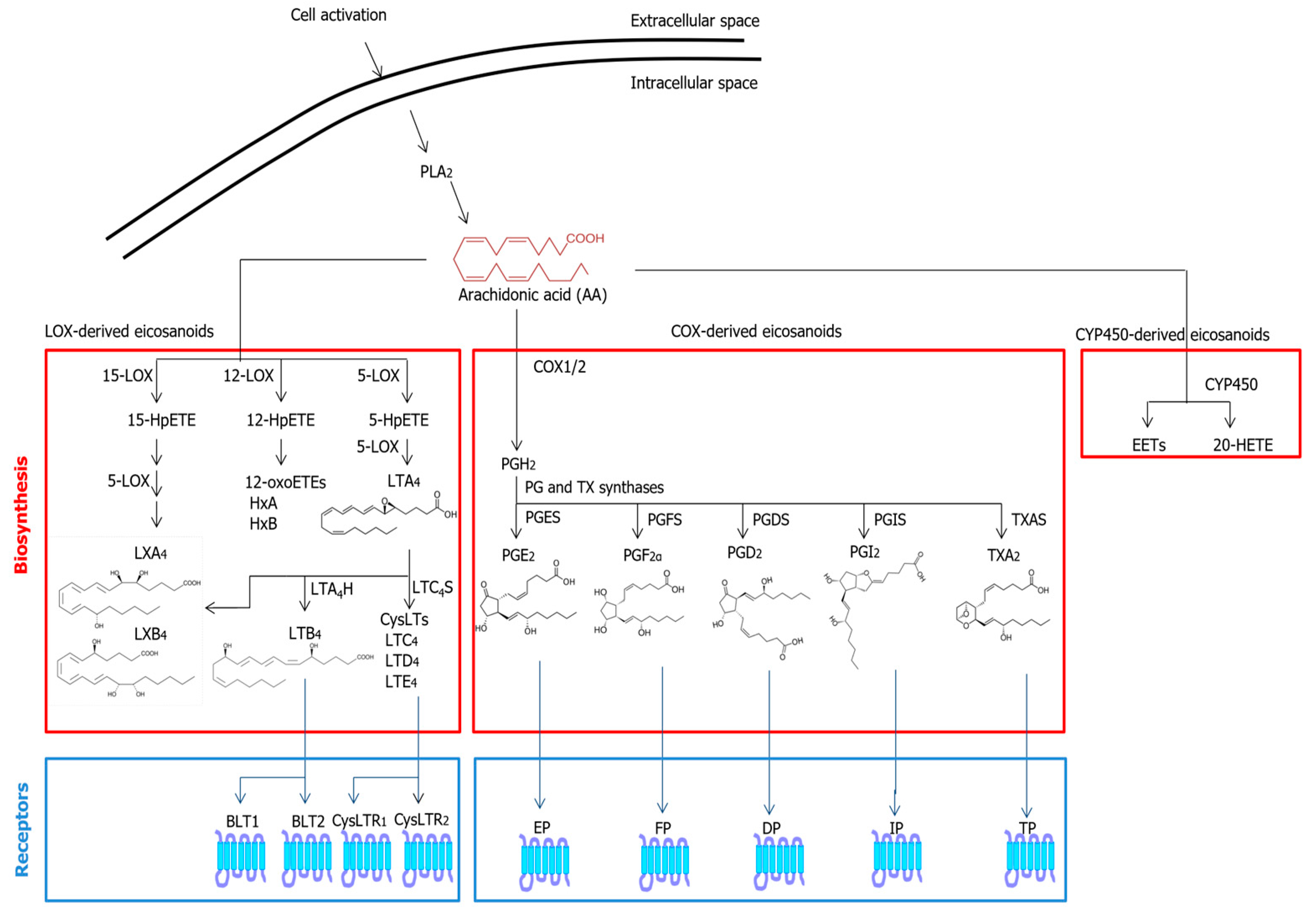 Molecules 28 02622 g001