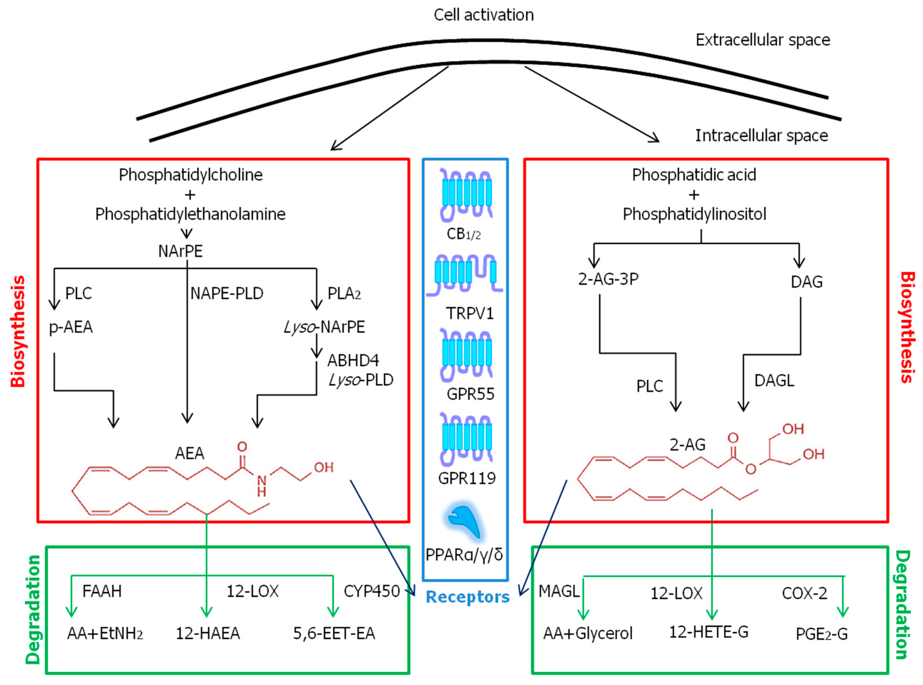 Molecules 28 02622 g002
