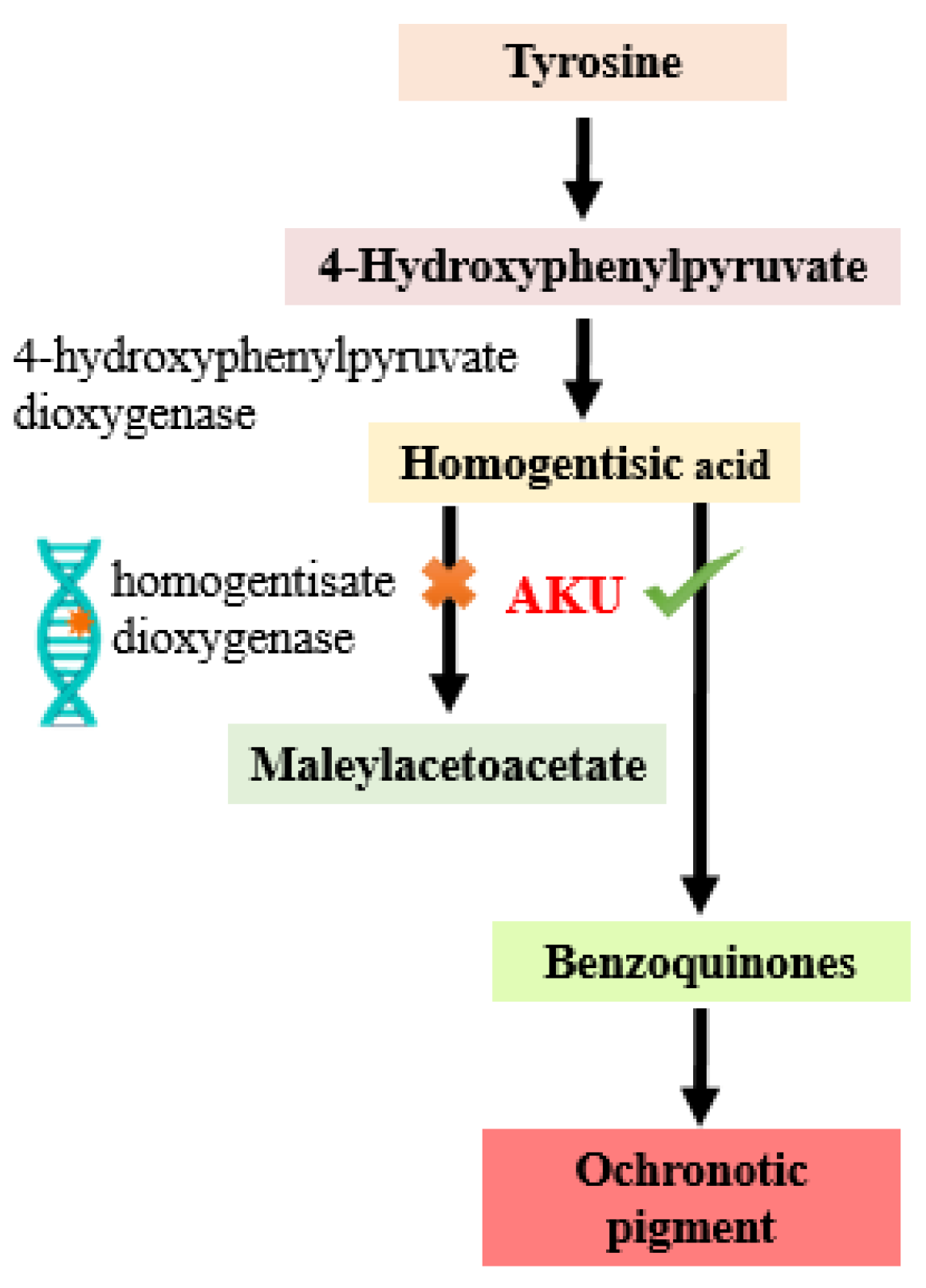 Molecules | Free Full-Text | Identification of Potential Inhibitors for the  Treatment of Alkaptonuria Using an Integrated In Silico Computational  Strategy