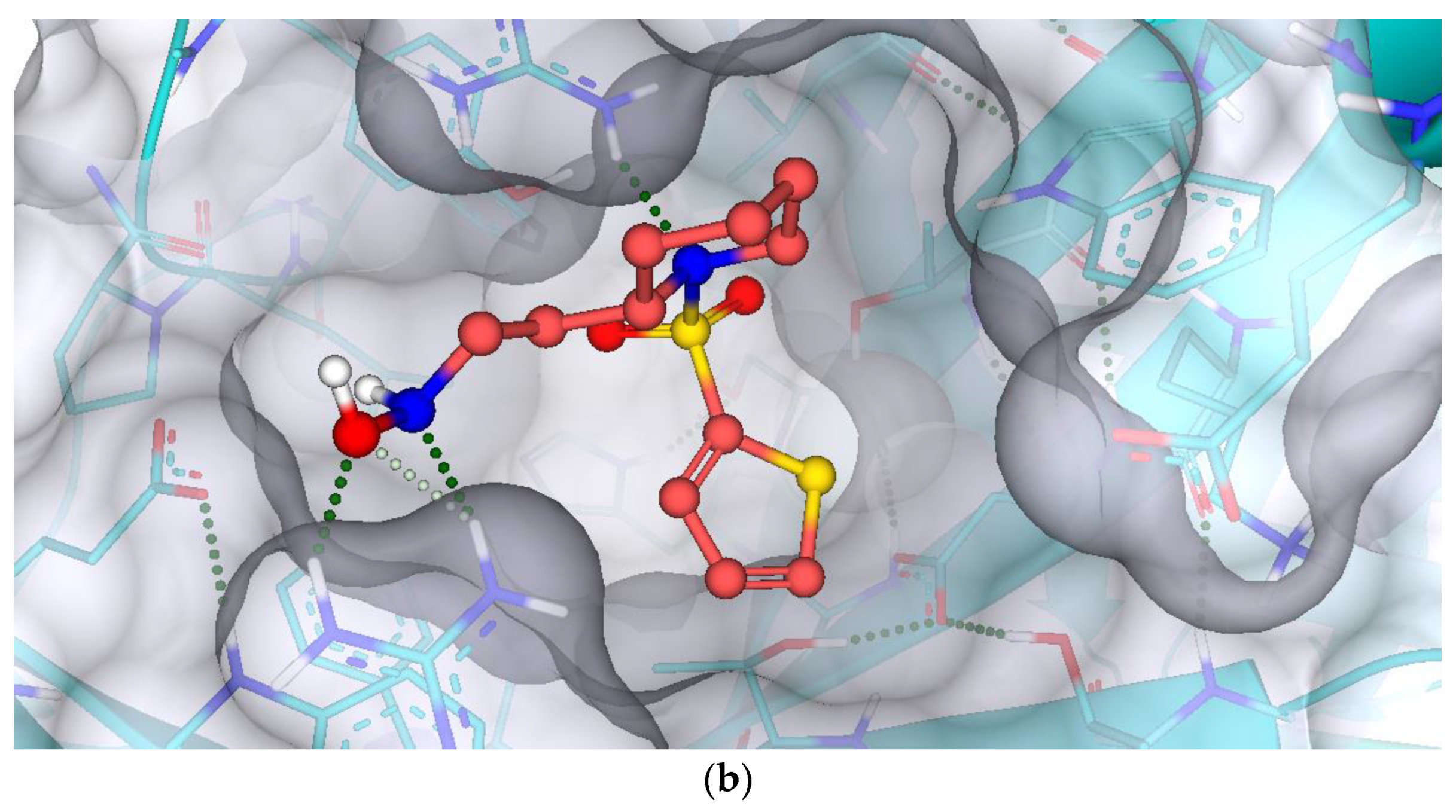 Molecules 28 02623 g007b Molecules 28 02623 g007b