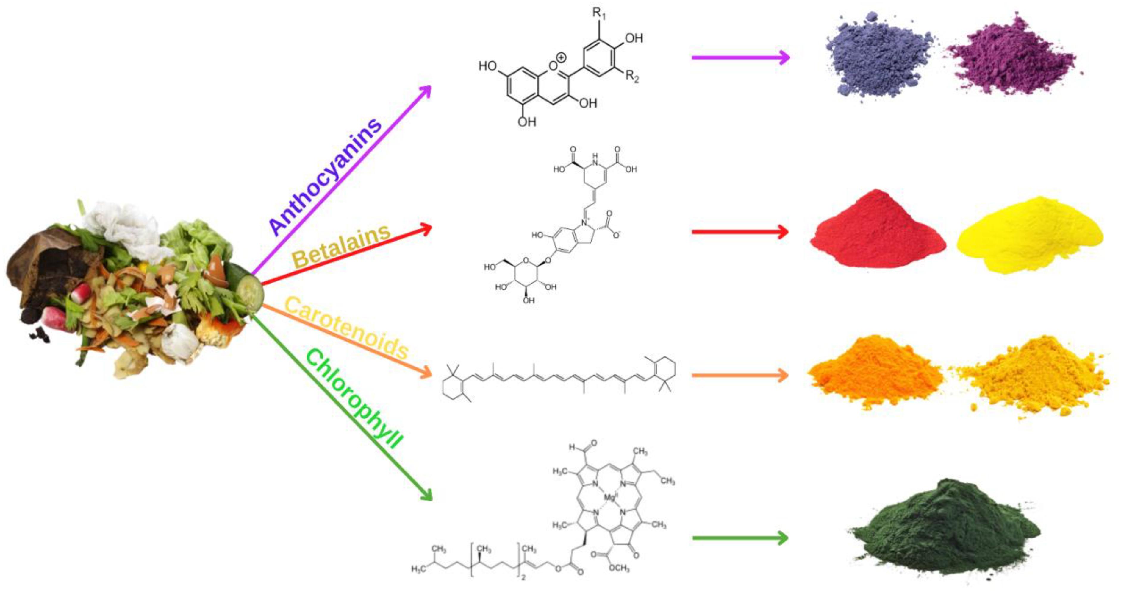 Molecules 28 02631 g001