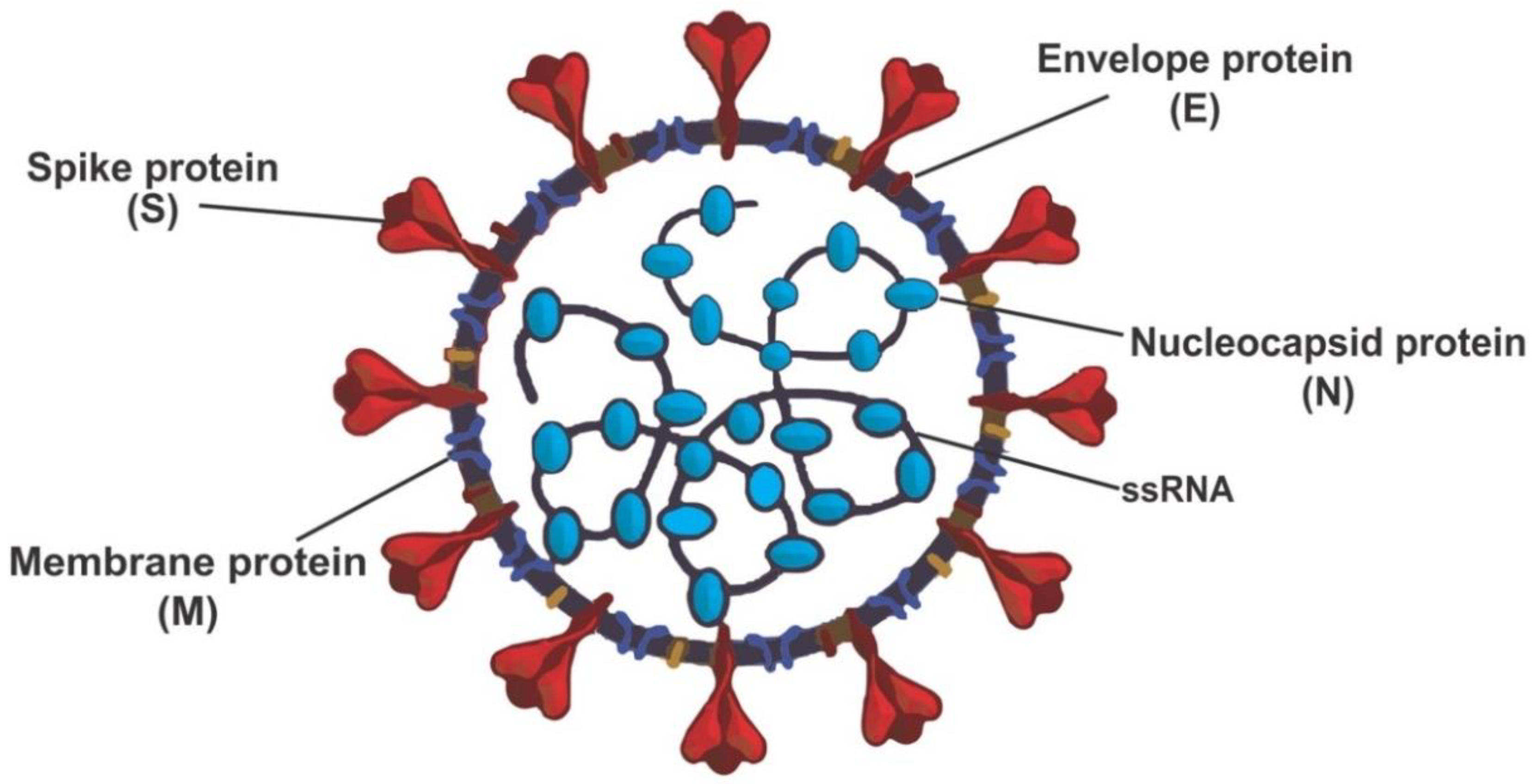Molecules 28 02641 g001 Molecules 28 02641 g001