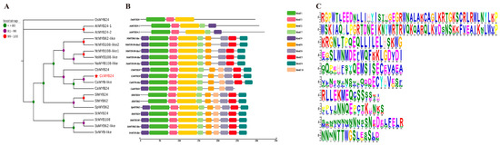 Frontiers | Osteosarcoma and Metastasis