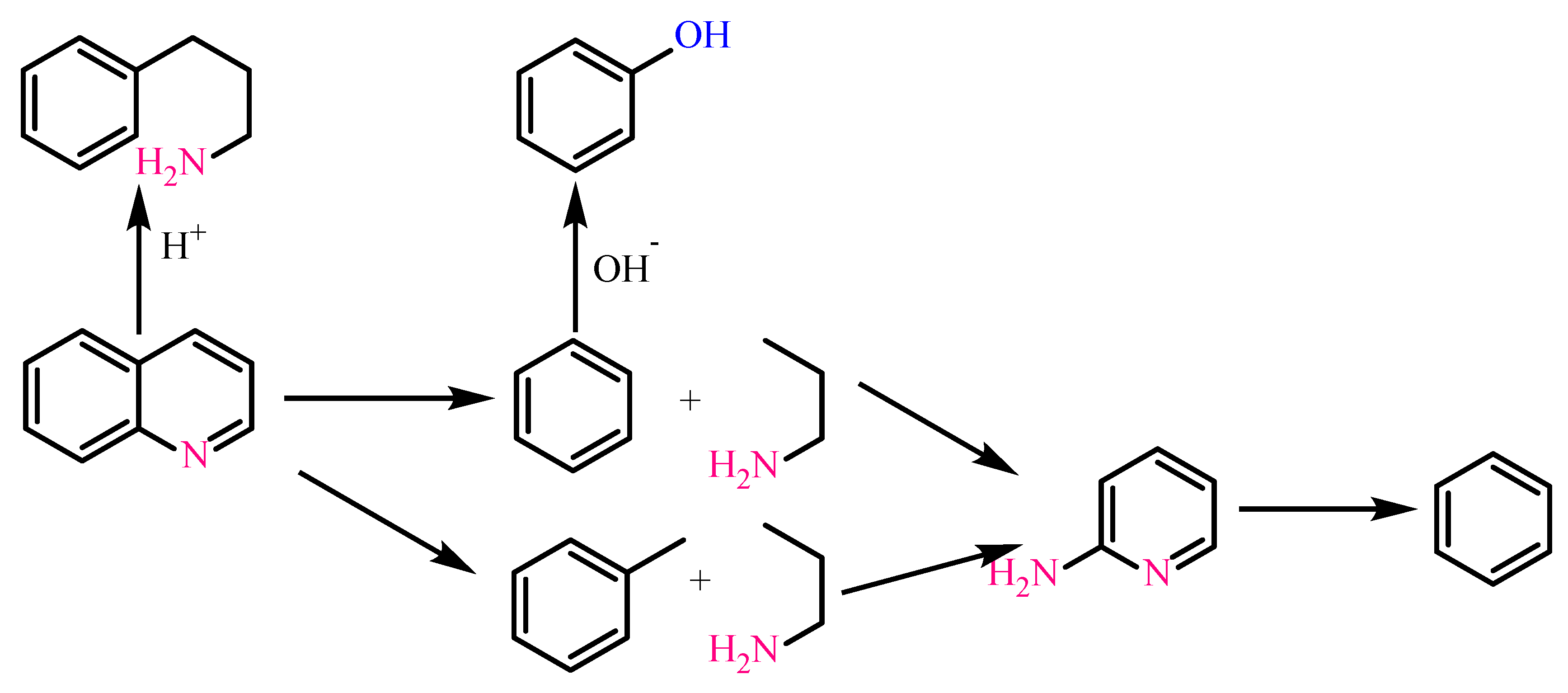 Molecules 28 02651 sch004 Molecules 28 02651 sch004