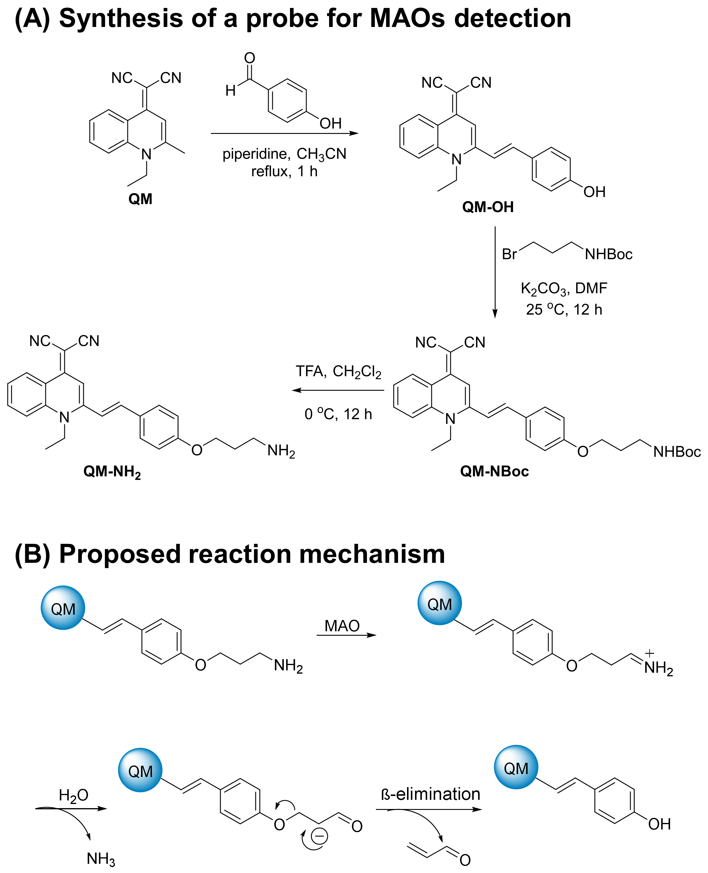 Molecules 28 02655 g001