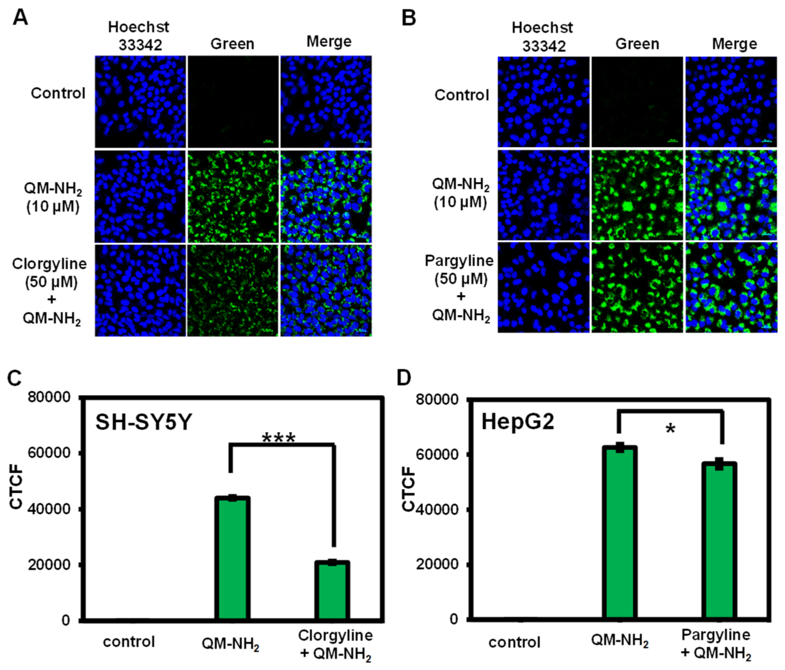 Molecules 28 02655 g008