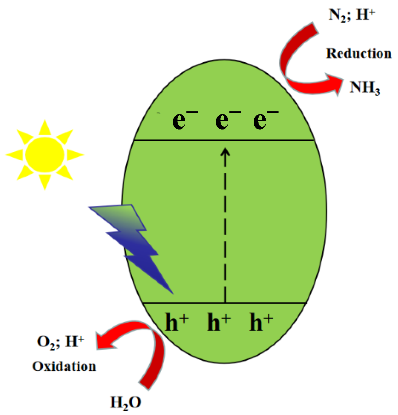 Molecules 28 02666 g001 Molecules 28 02666 g001