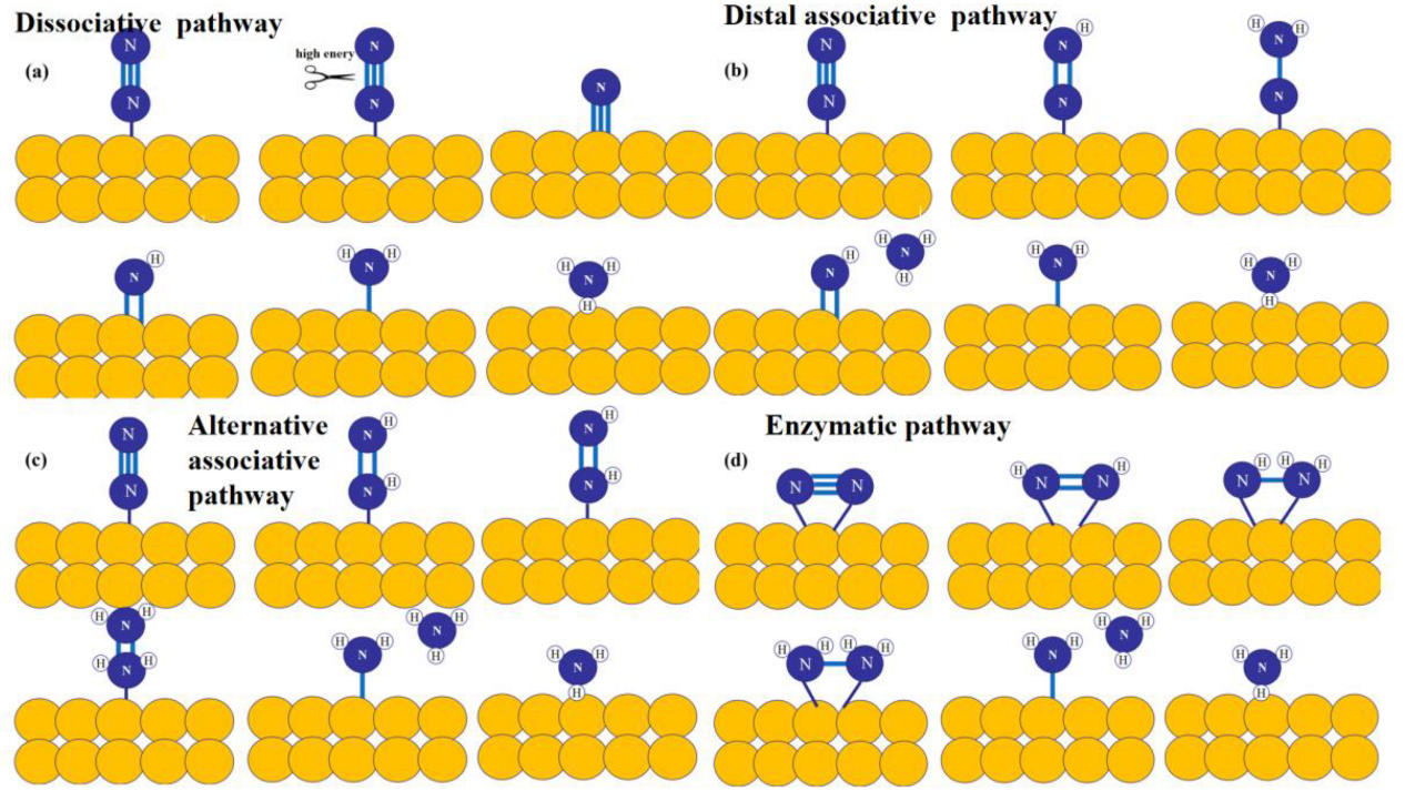 Molecules 28 02666 g002 Molecules 28 02666 g002