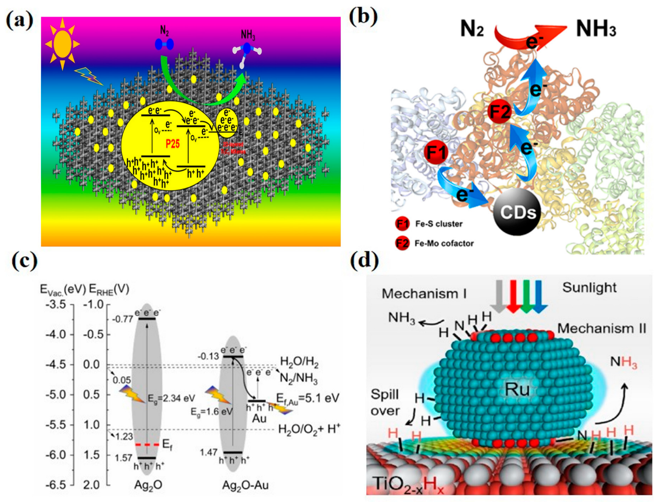 Molecules | Free Full-Text | Advances in Semiconductor-Based Nanocomposite Photo(electro)catalysts for Nitrogen Reduction to Ammonia