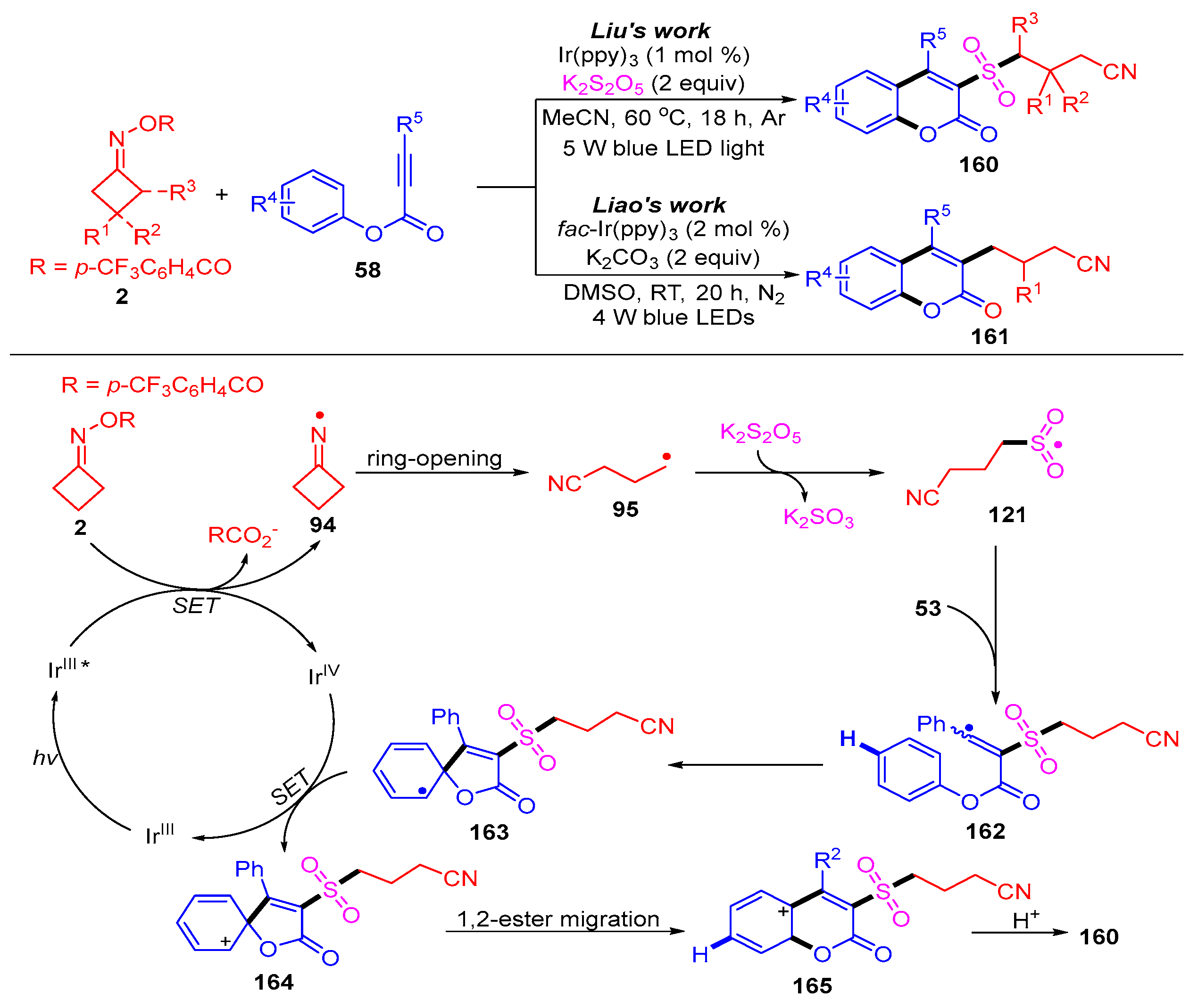 Molecules 28 02667 sch025 Molecules 28 02667 sch025