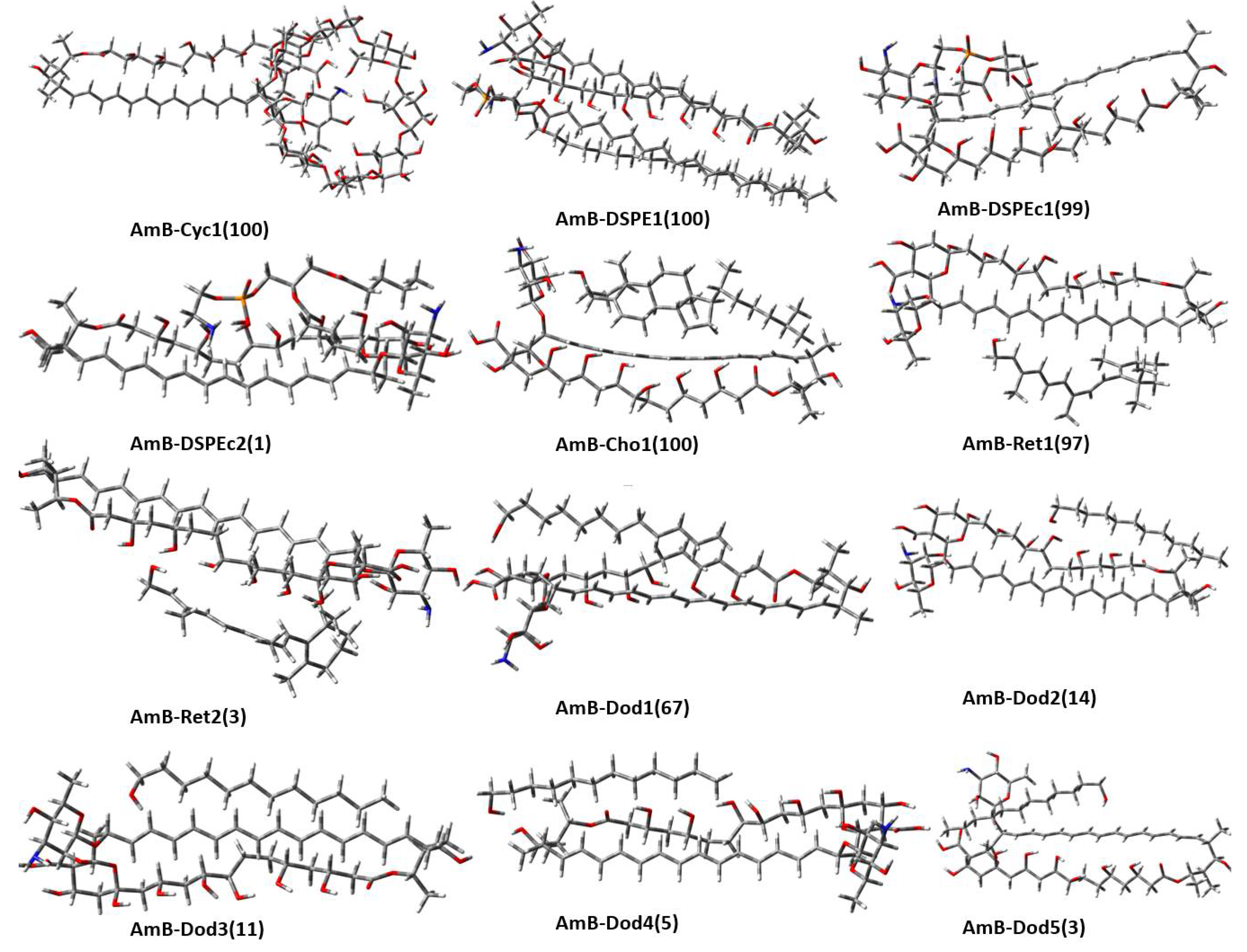Molecules | Free Full-Text | A Theoretical Analysis of Interaction Energies  and Intermolecular Interactions between Amphotericin B and Potential  Bioconjugates Used in the Modification of Nanocarriers for Drug Delivery