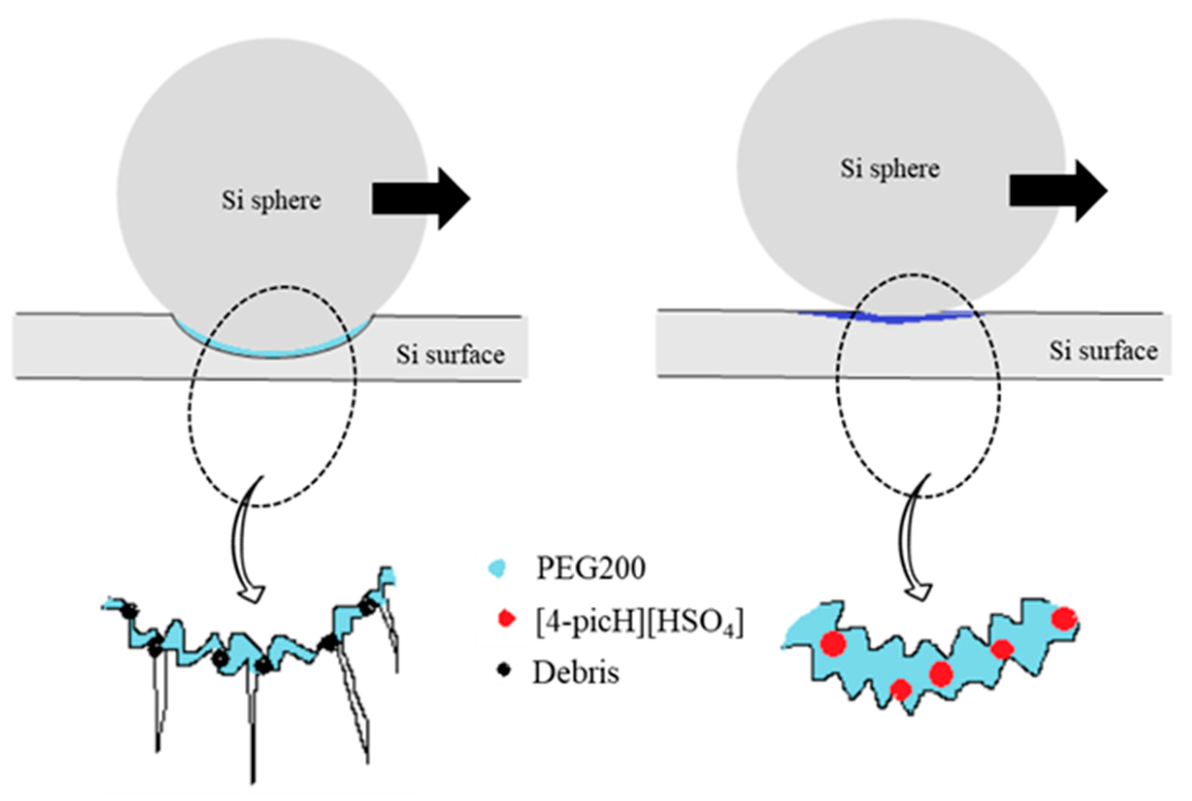 Molecules 28 02678 g009 Molecules 28 02678 g009