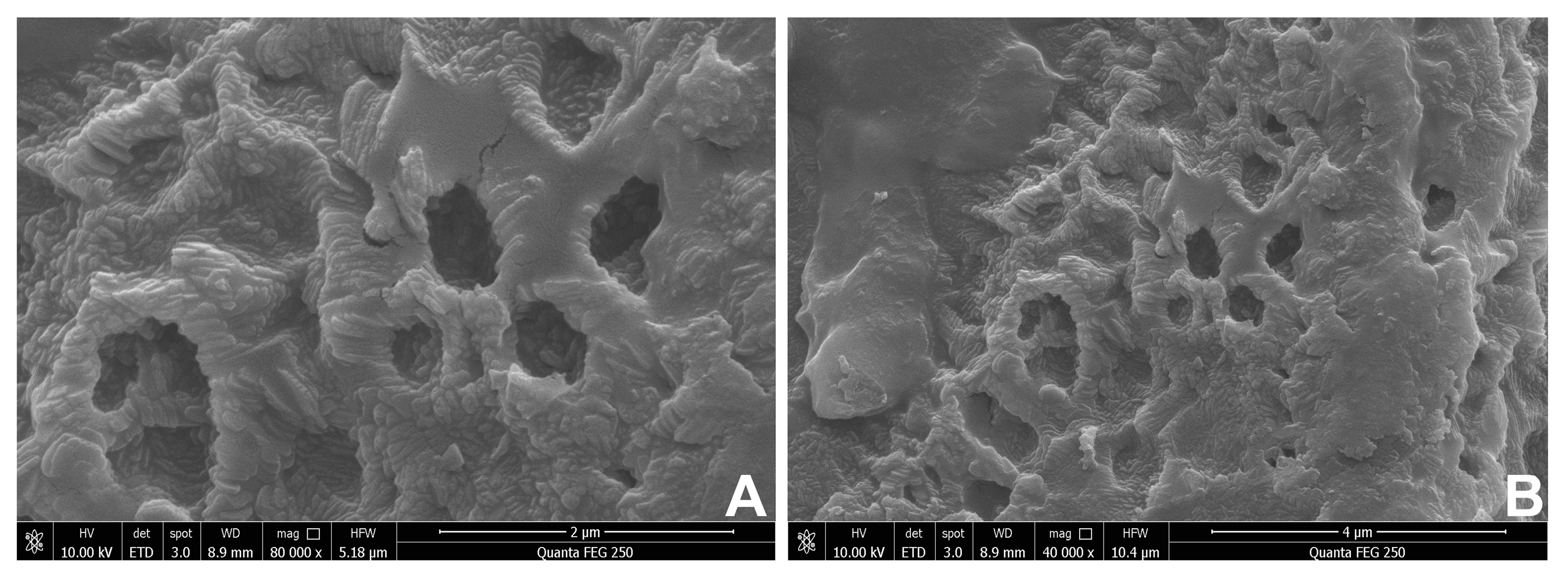 Molecules 28 02679 g002 Molecules 28 02679 g002