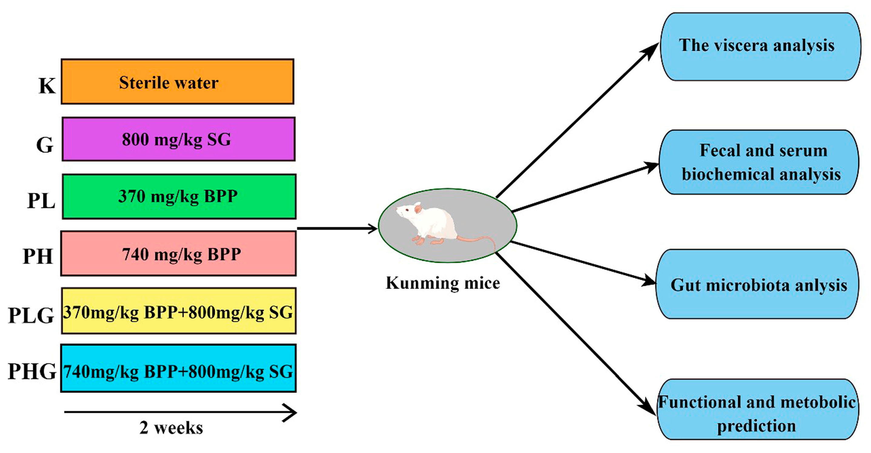 Molecules 28 02679 g009 Molecules 28 02679 g009