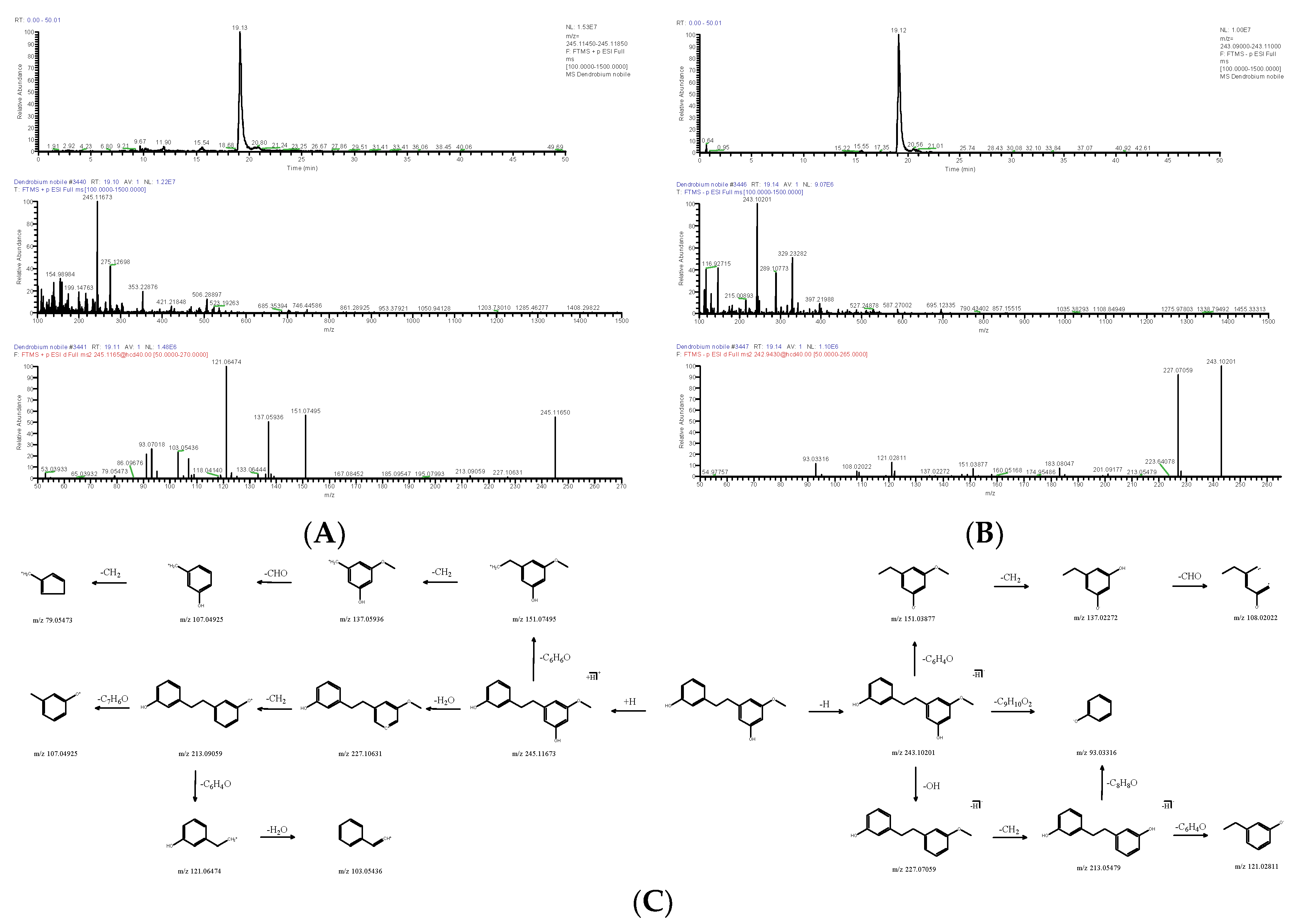 Molecules 28 02683 g004 Molecules 28 02683 g004